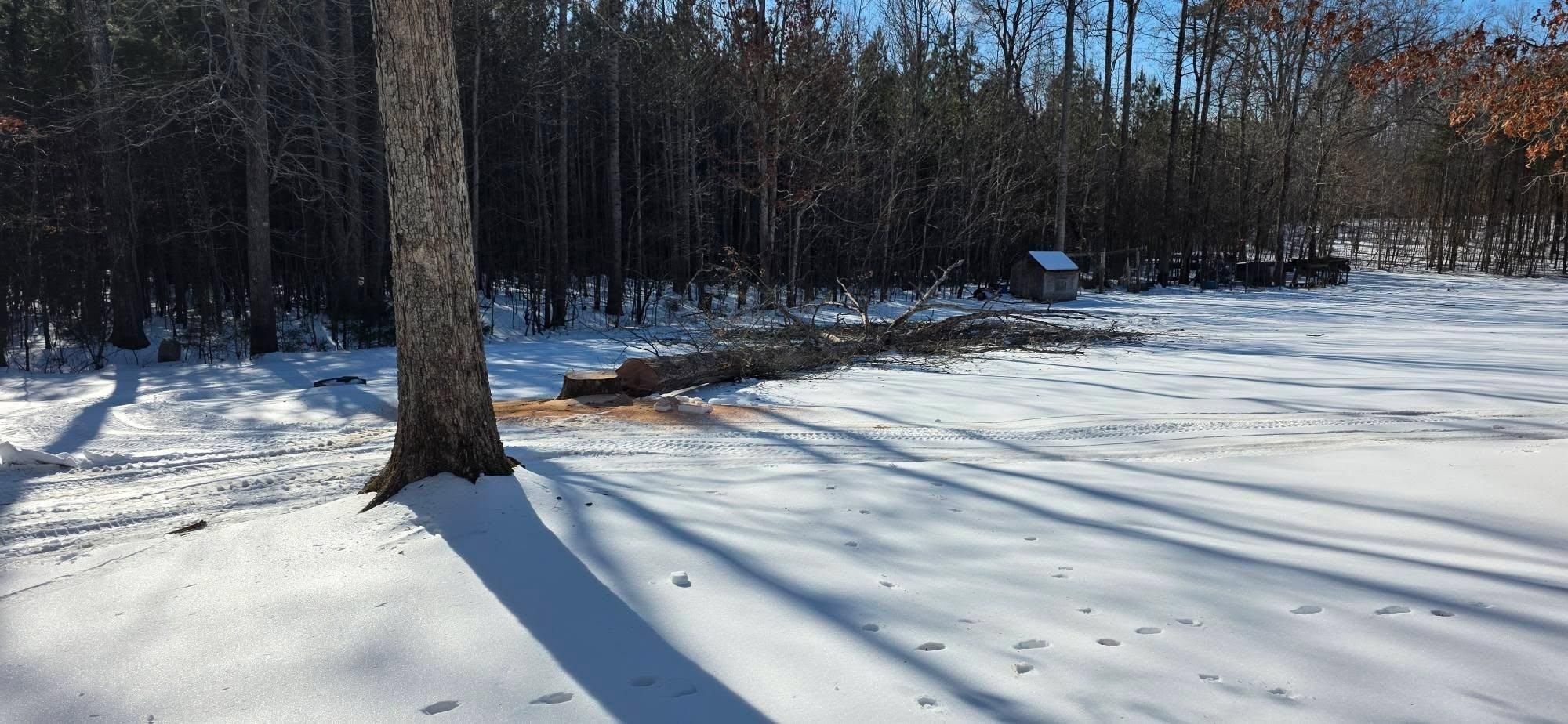  for Hamlett Tree Service LLC in Clover, VA