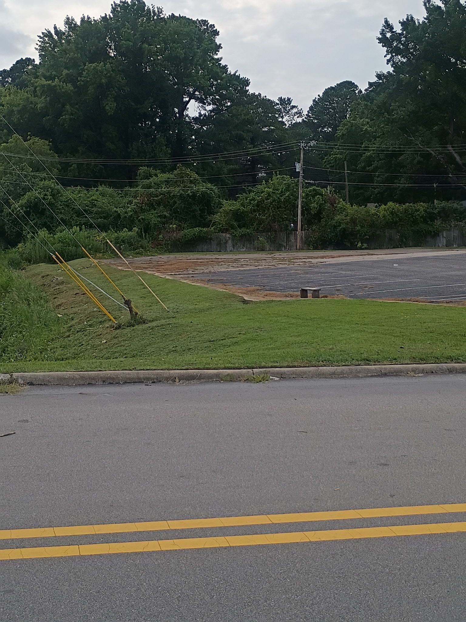  for Brothers On Point Lawn And Junk Removal in Wilson, NC