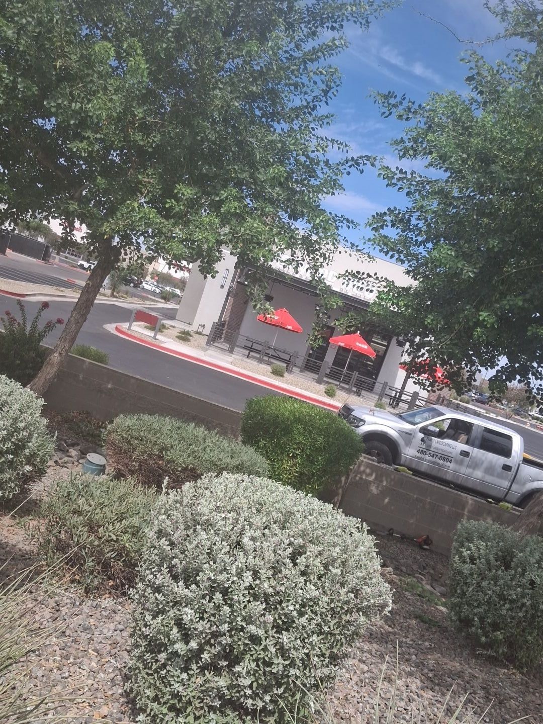 for Family Landscaping in Phoenix, AZ