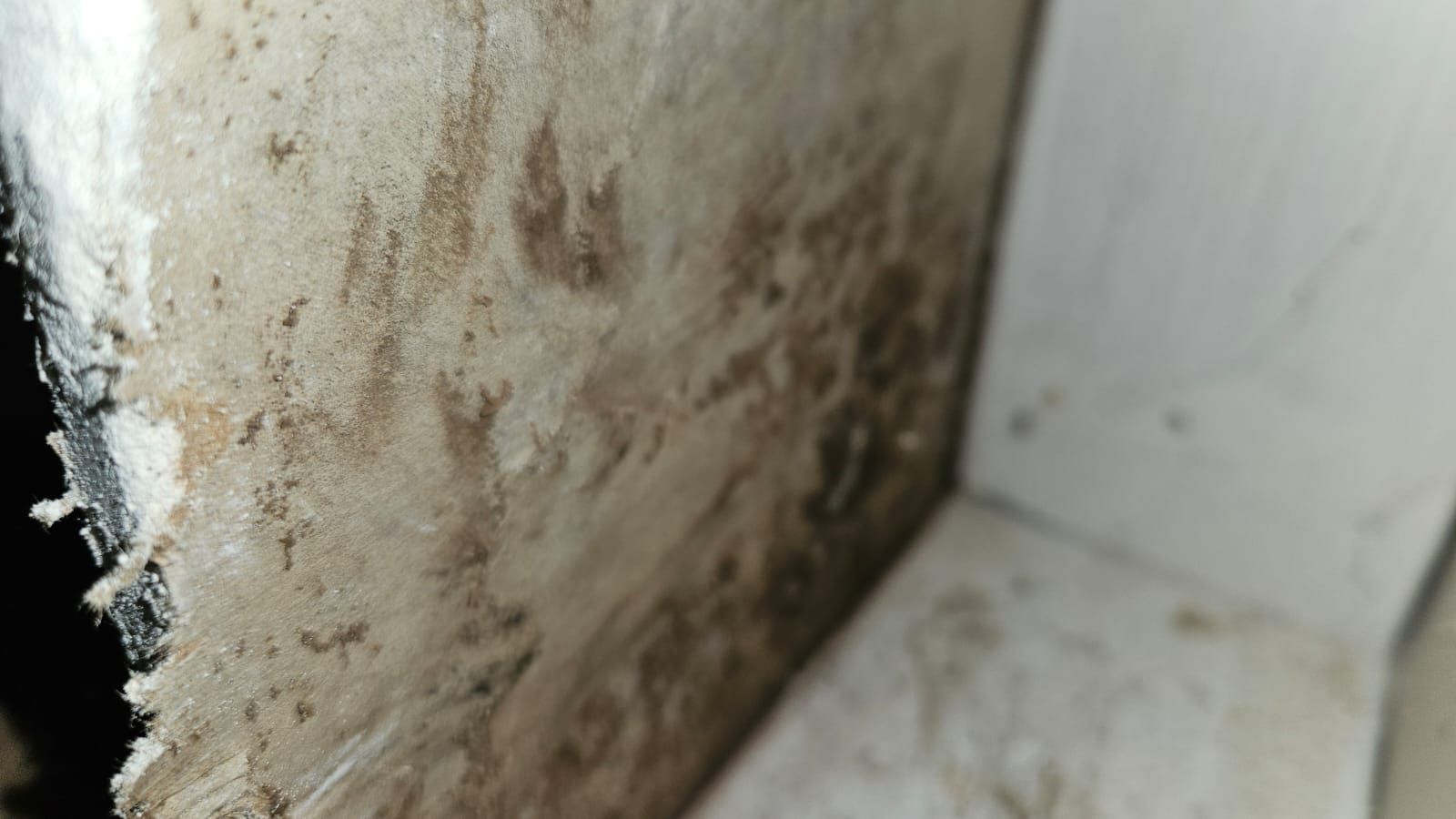  for N&D Restoration Services When Disaster Strikes, We Come In in Cape Coral,  FL