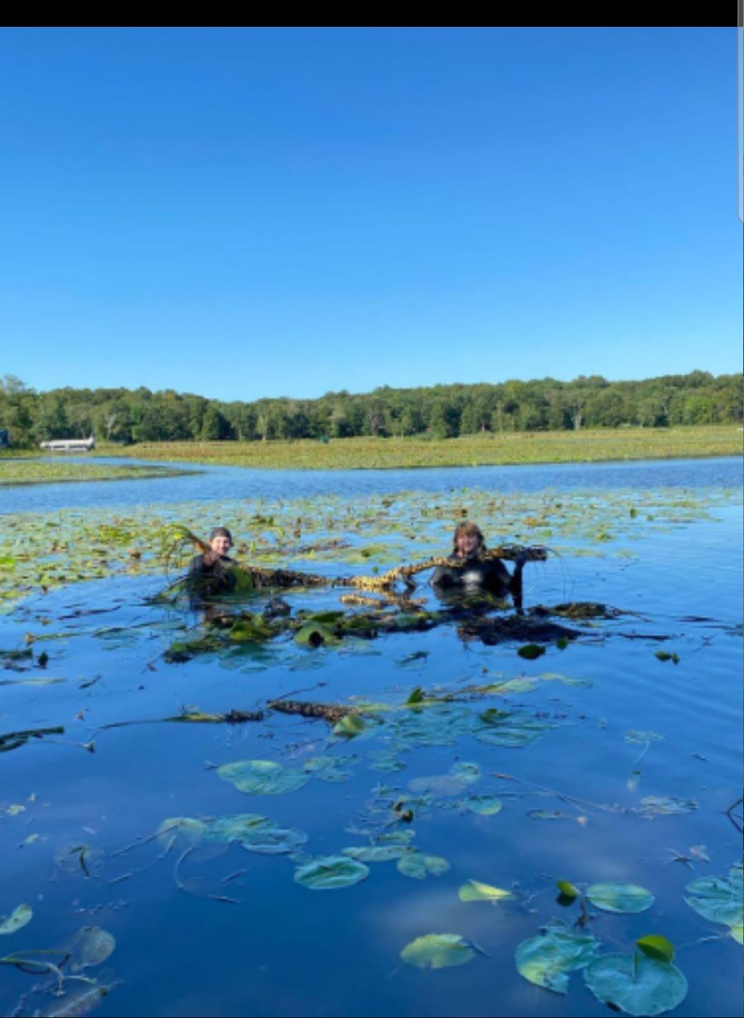 All Photos for JT’s Underwater Landscaping in Brainerd, MN