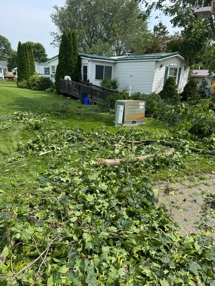 All Photos for Licensed to Cut Tree Service in Athens, PA