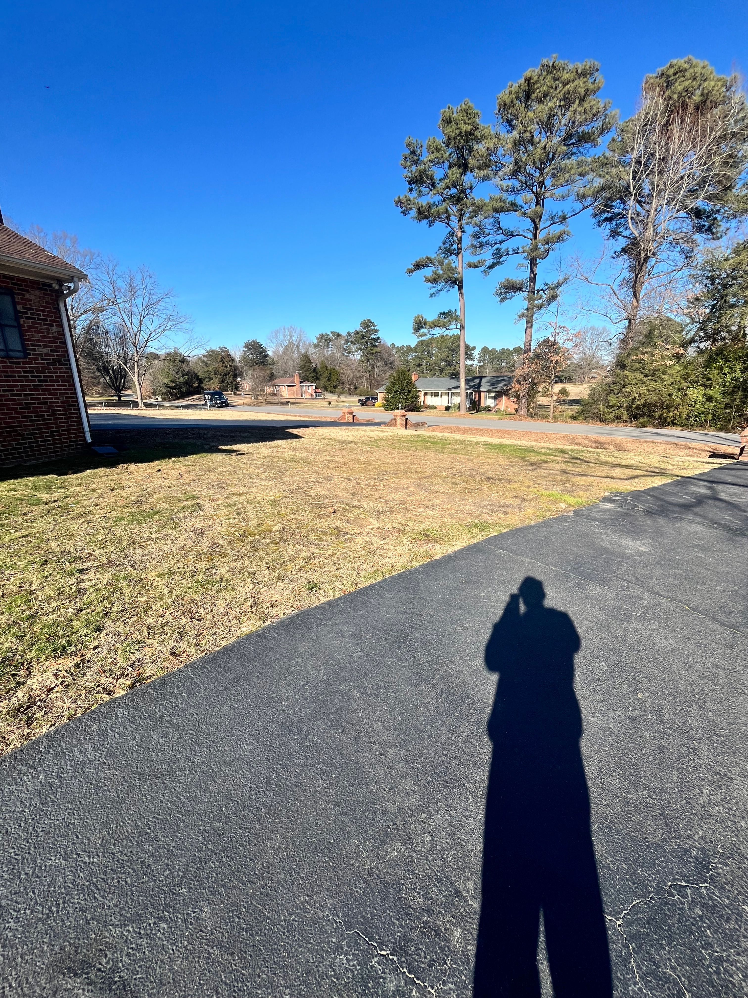  for Ricky's Tree Service & Property Care in Orange, VA