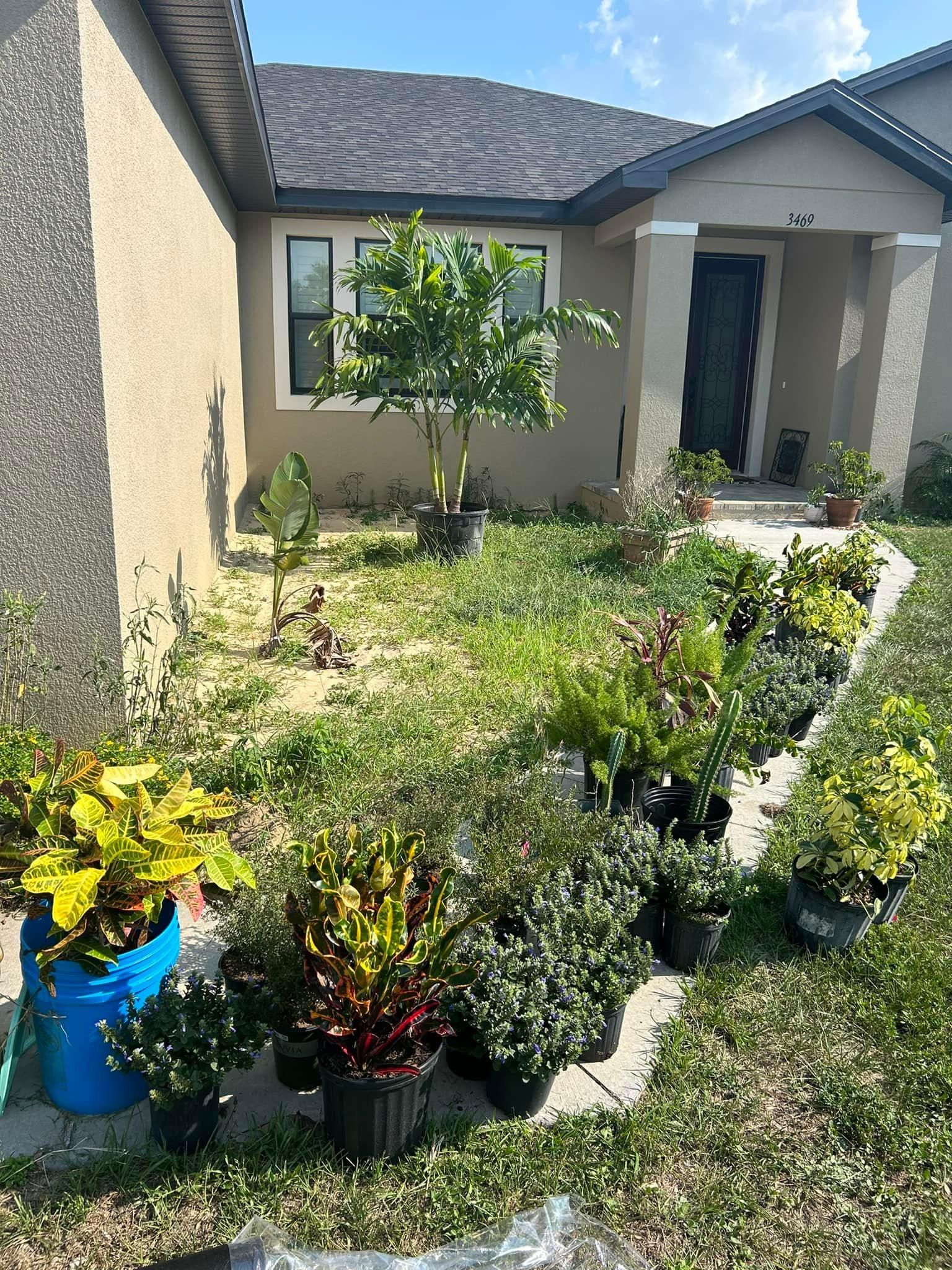 All Photos for Estrada All Pro Lawn Service in Auburndale, Florida