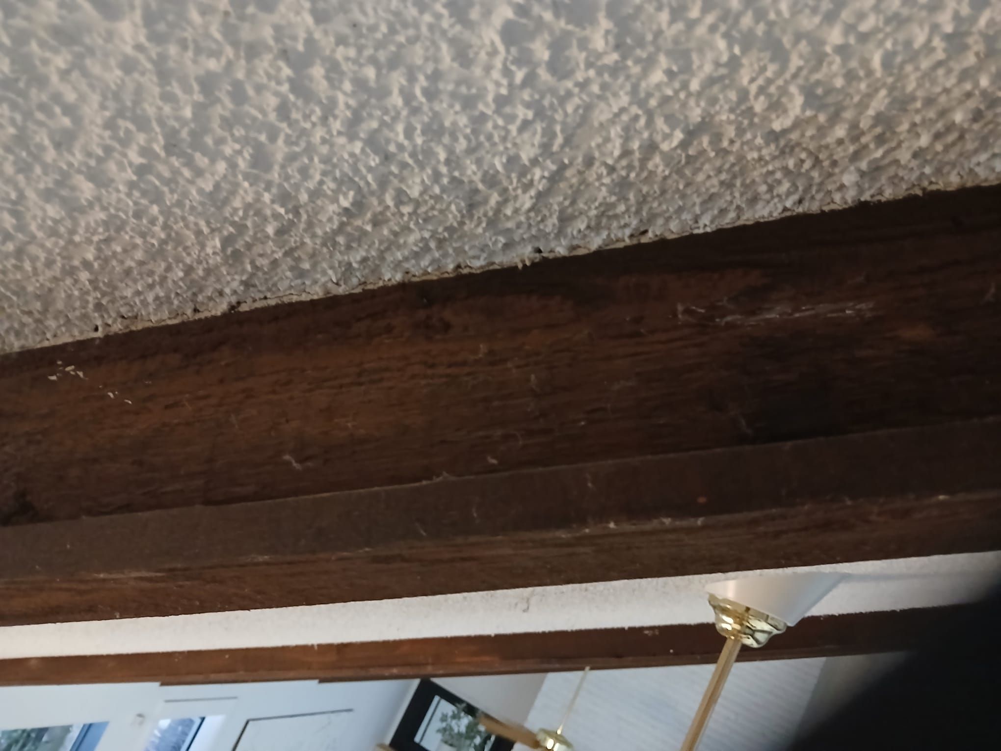  for SqFt Painting in Conroe, TX