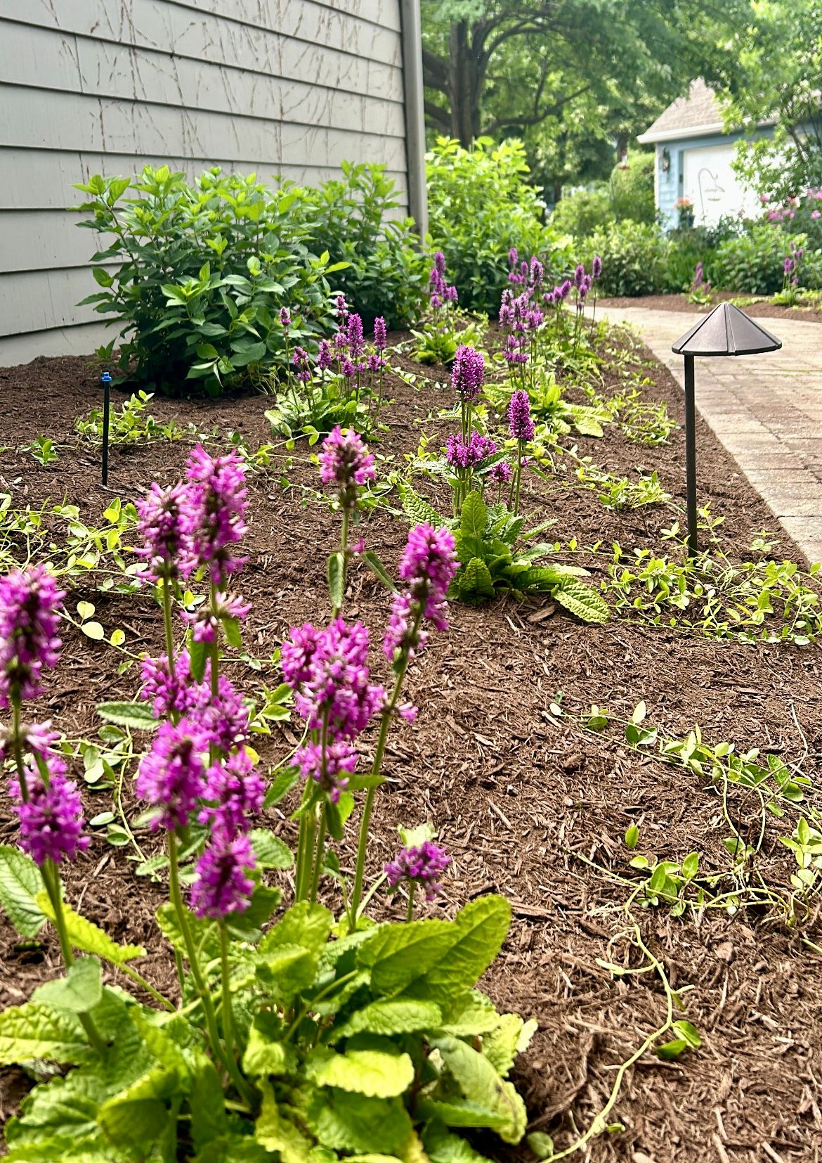 Softscaping for Hillside Landscape & Design in Chesterland, OH