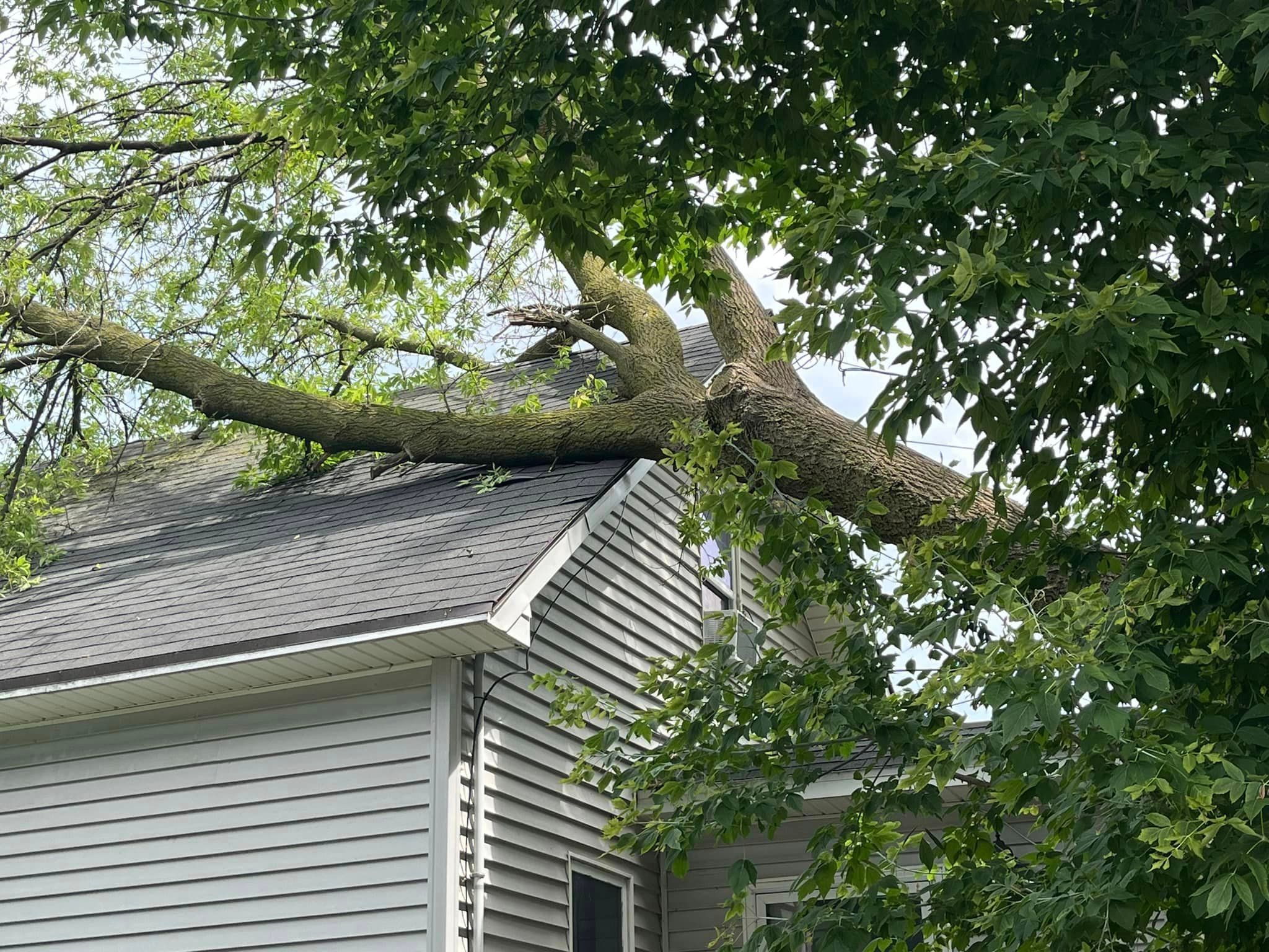 All Photos for Tree-B-Gone in Shawano, WI