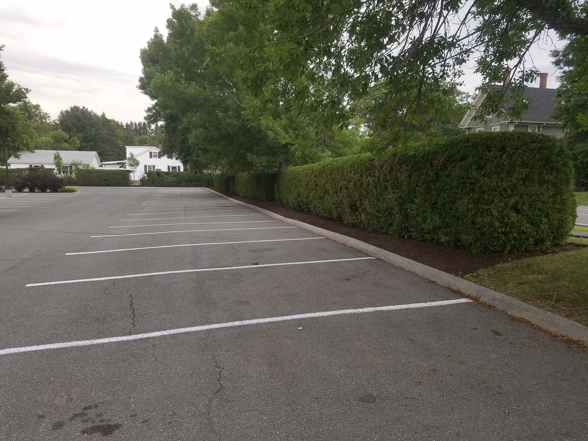 All Photos for Casey's Lawn Service LLC in Orono, ME