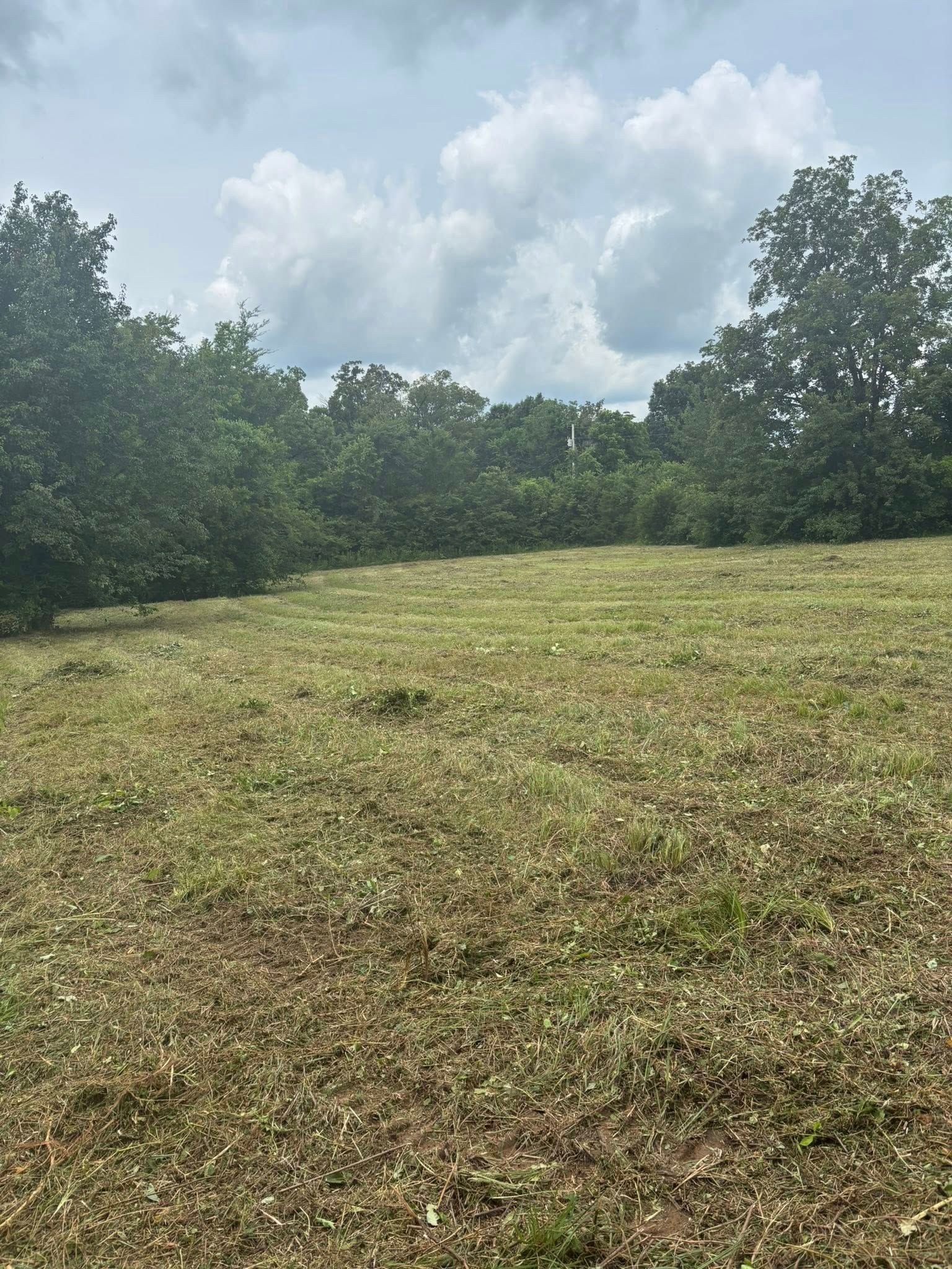  for JC Land Clearing in Shelbyville, TN