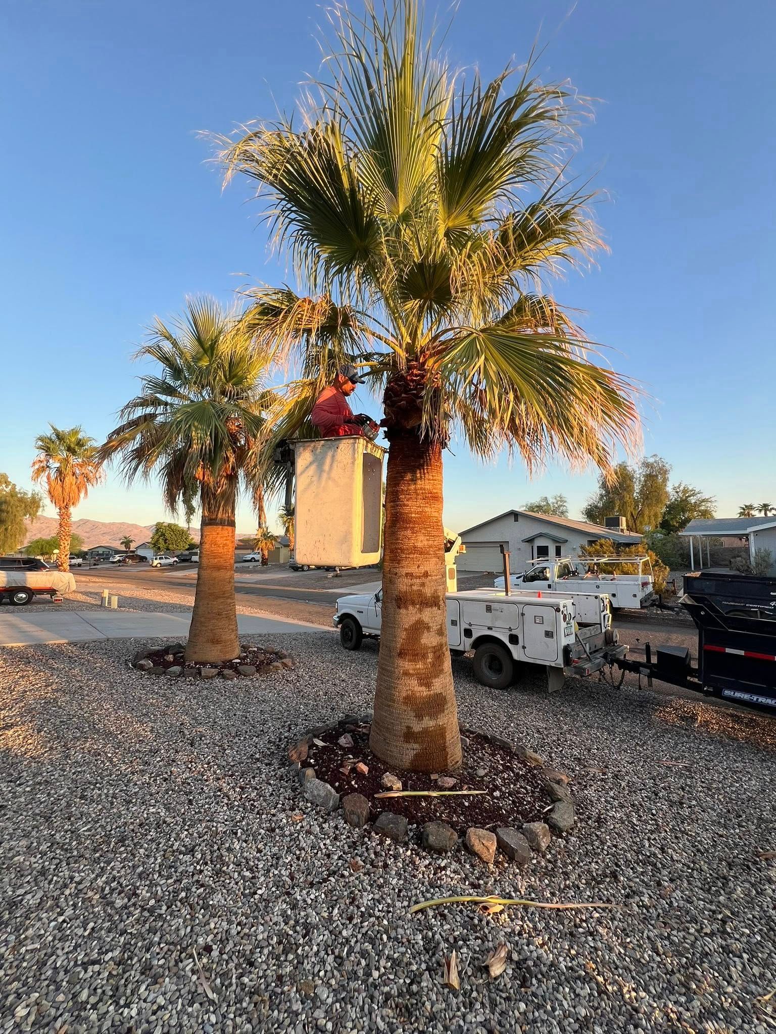  for Top Notch Landscape Services in Mohave Valley, AZ