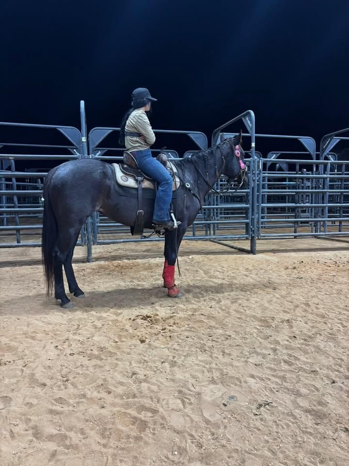  for Florida Native Equestrian Development in Central Florida, FL