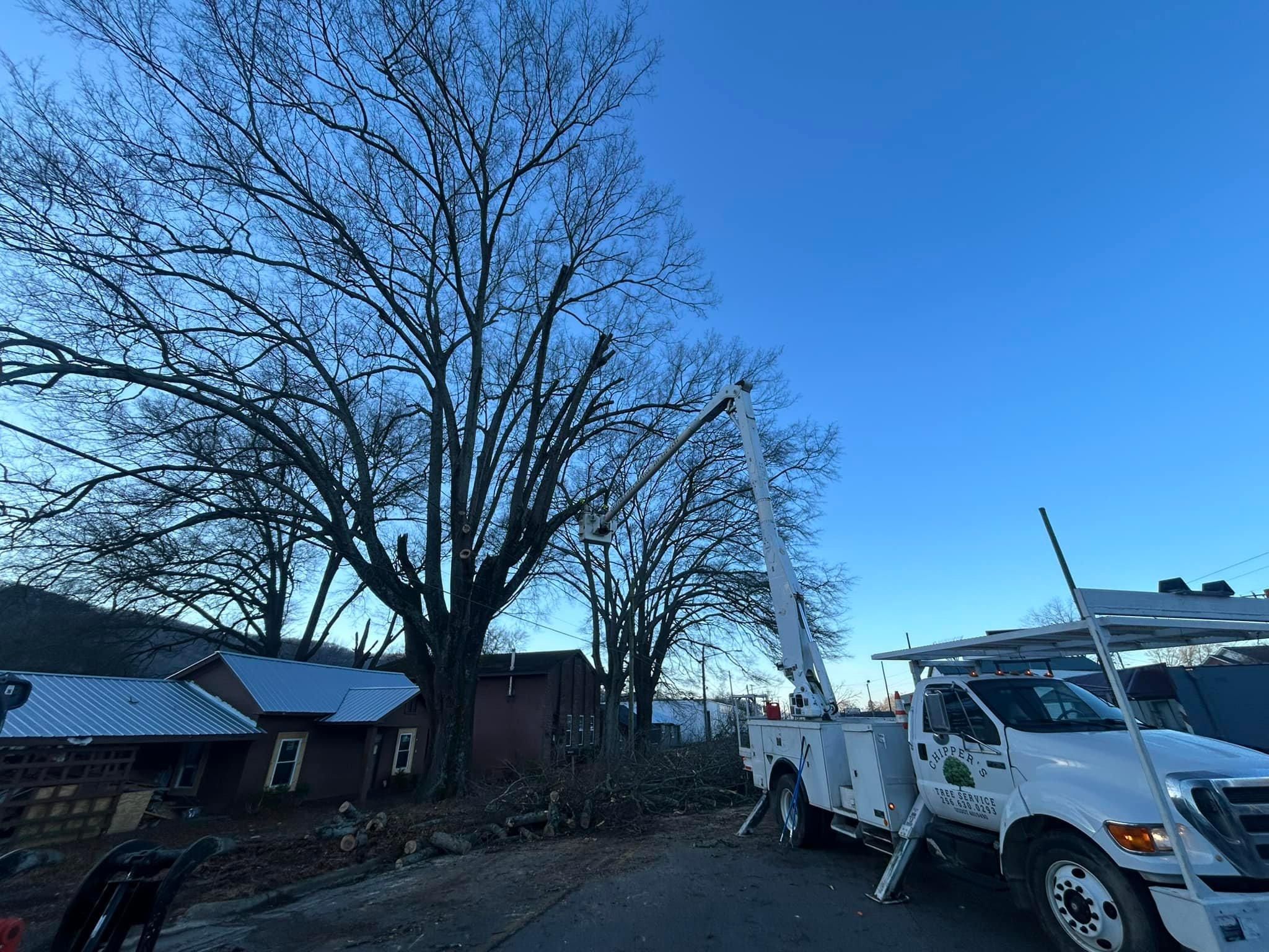  for Chipper's Tree Service  in Fort Payne, AL