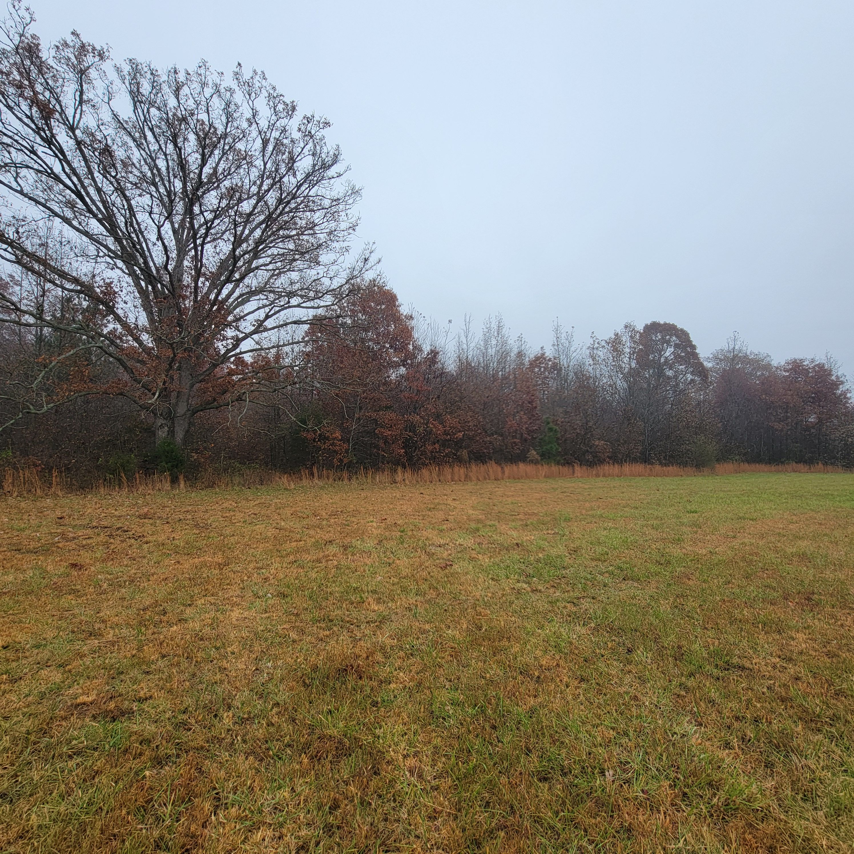  for Z's Land Management & Forestry Mulching in Smithville, TN