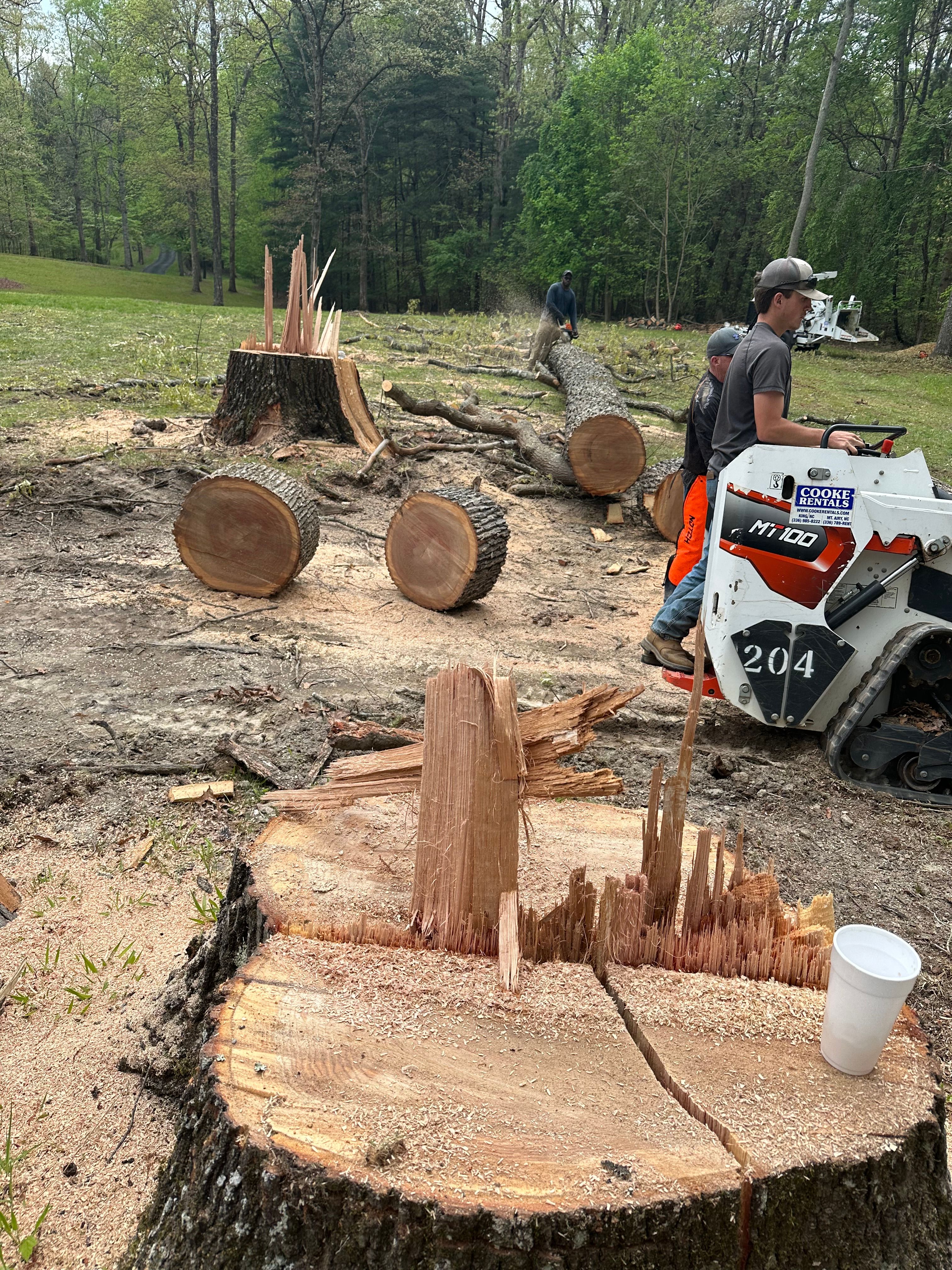 All Photos for Ramirez Tree Care in Elkin, NC