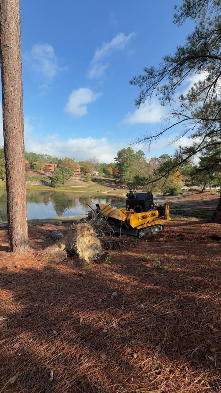  for Dozier Stump Grinding in Augusta, GA