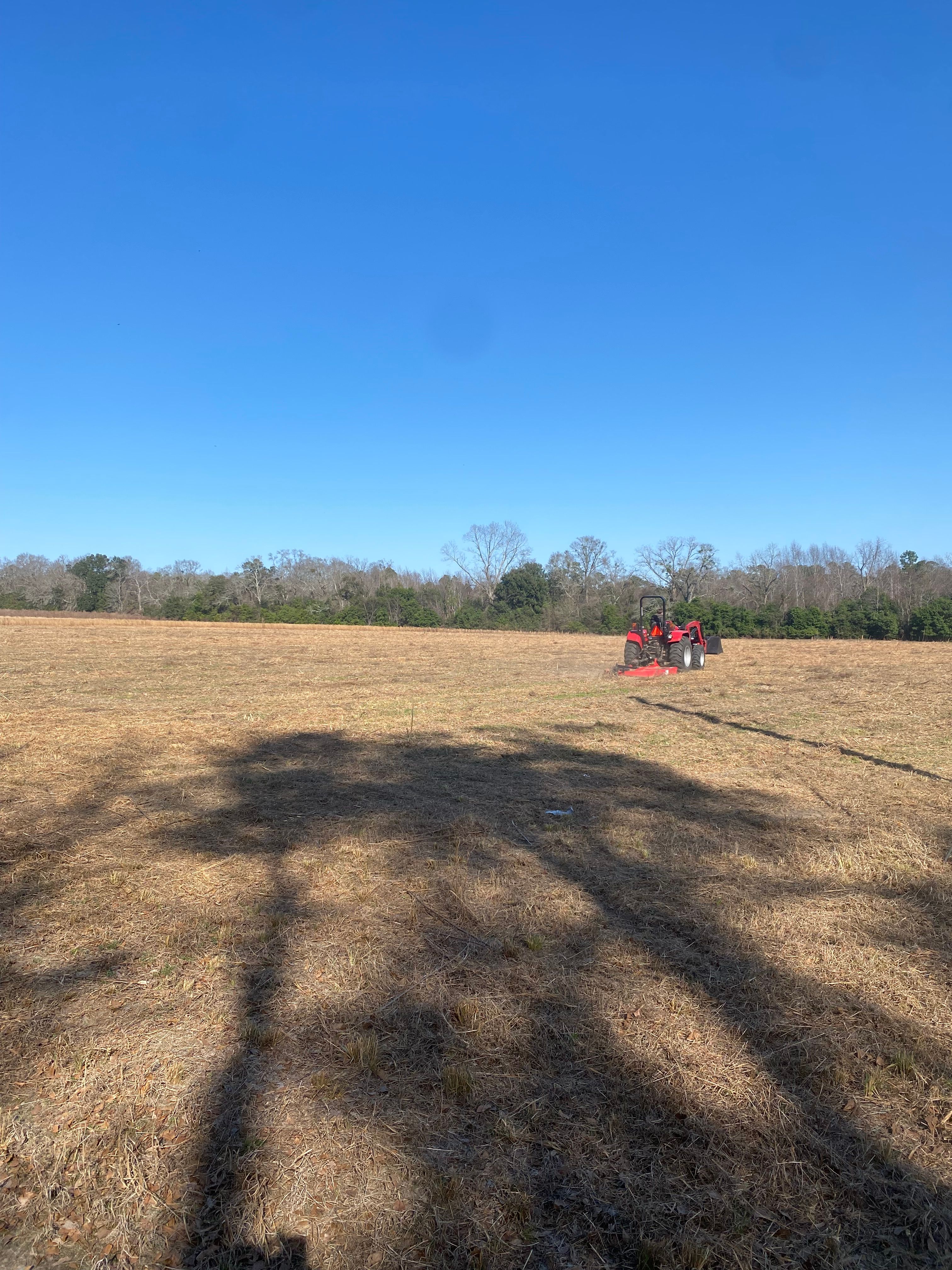  for T&S Land Management Services in Effingham County, GA