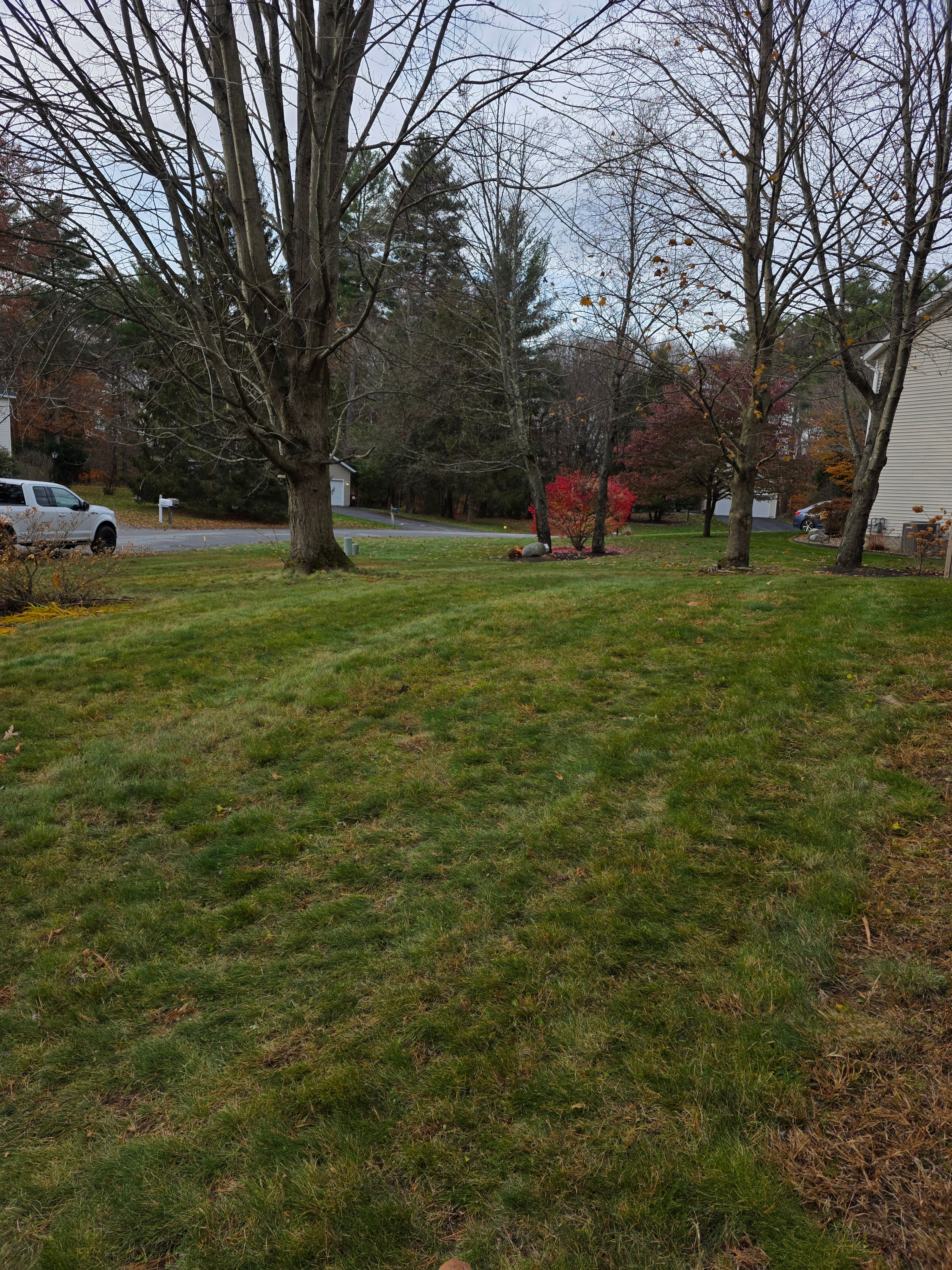  for Sweet Scapes in Ballston Spa, NY
