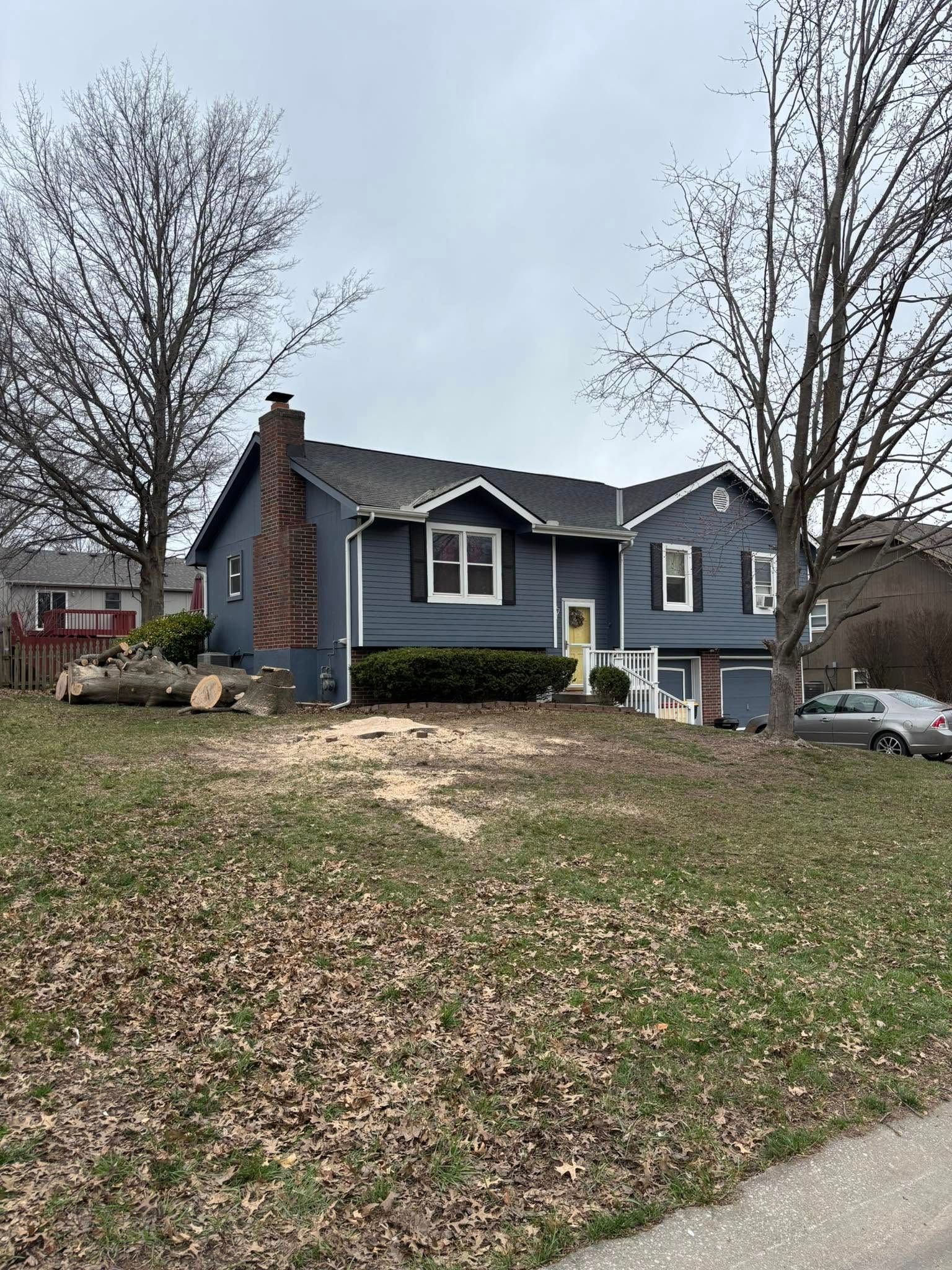 Tree Removal for Cross Family Tree Service in Kearney, MO