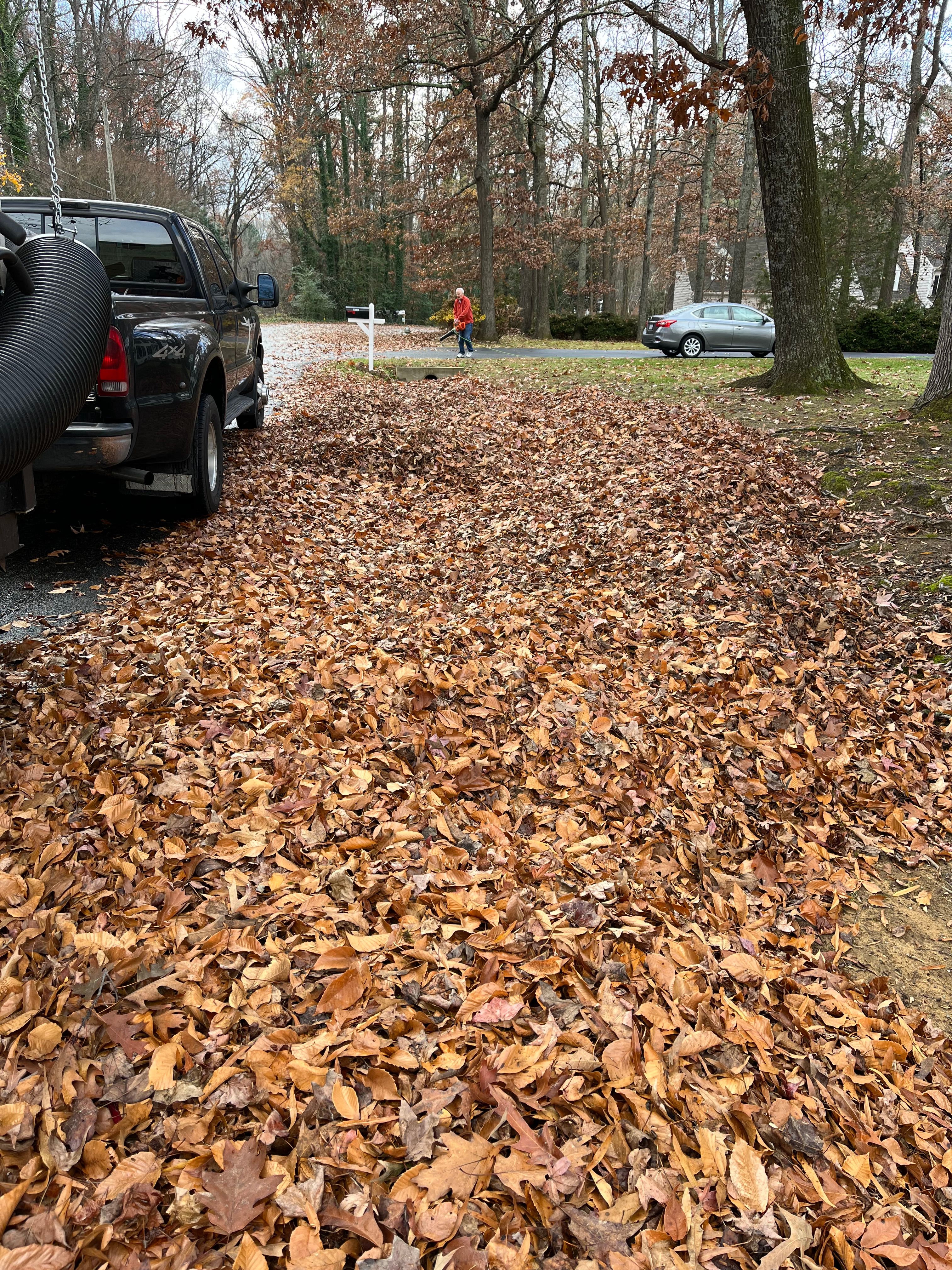  for Atlas Home Services in Mechanicsville, VA