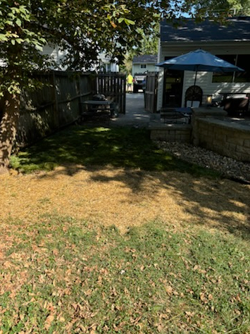  for J & B Landscaping in St. Louis, MO