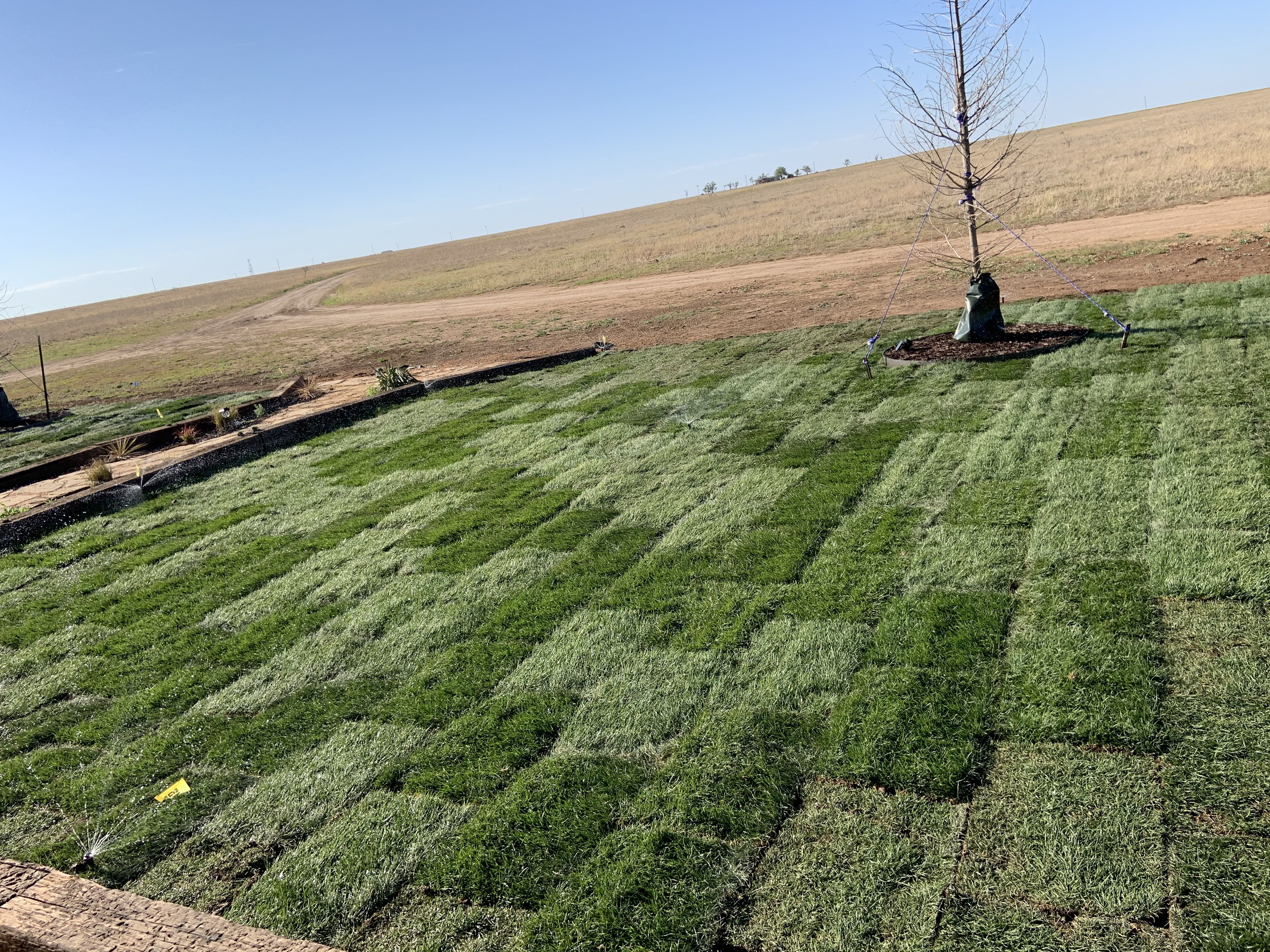  for Cole Landscaping & Pools, LLC in Amarillo, TX