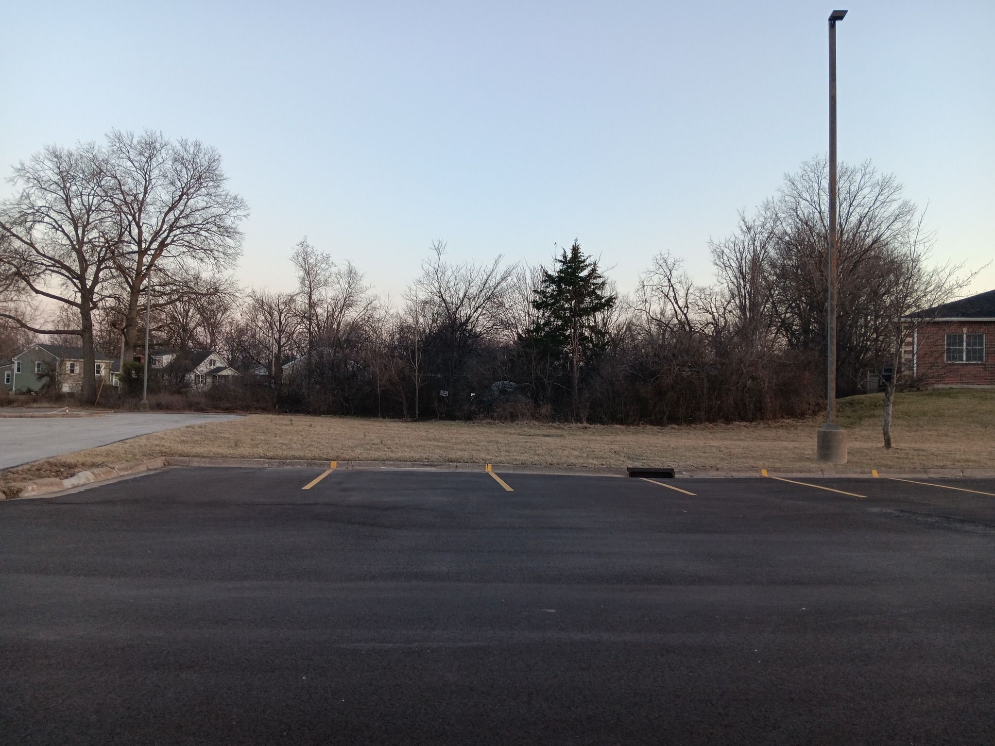  for Sky High Tree Service in Columbia, MO