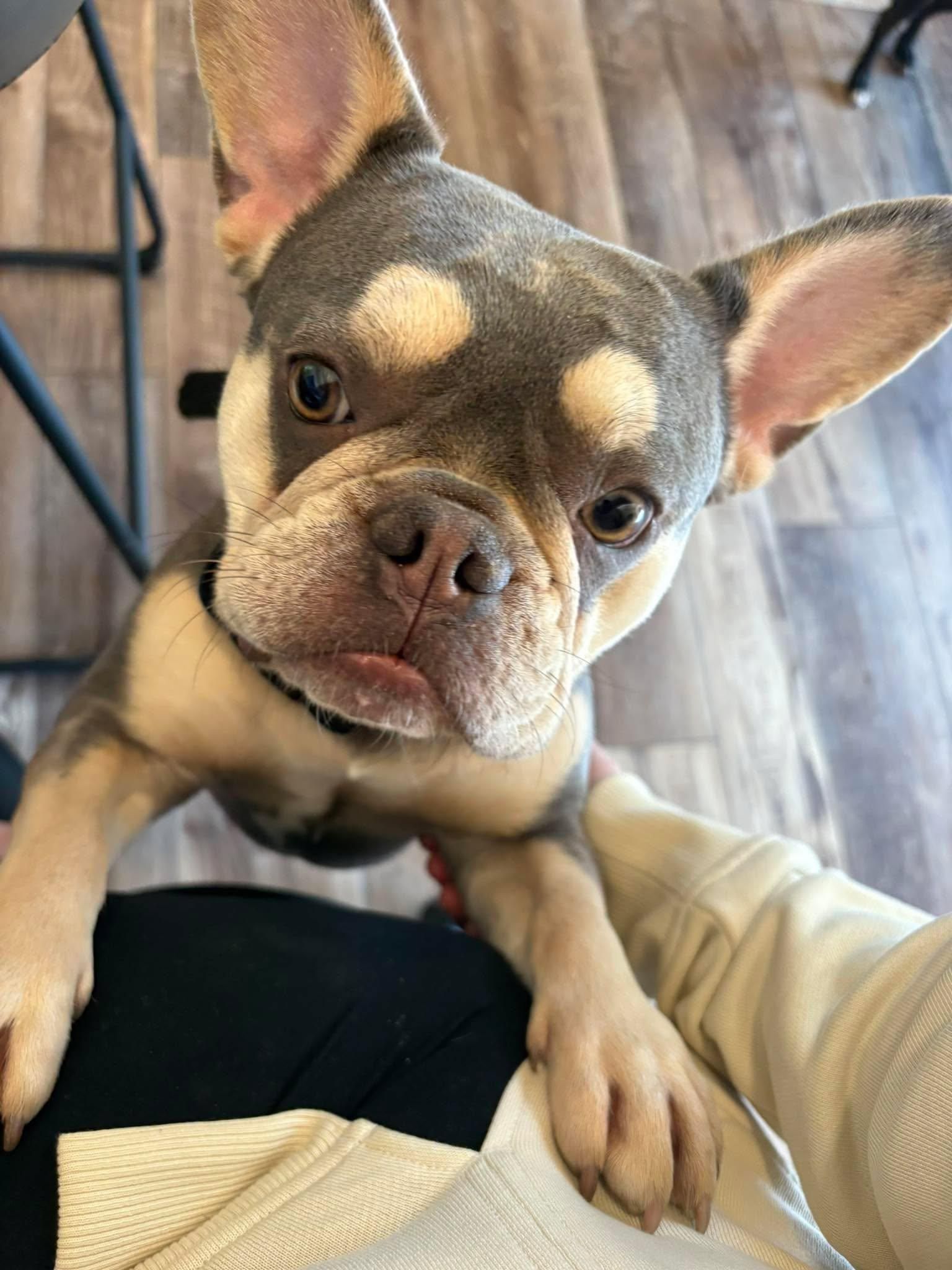  for James River Pools and Spa in Powhatan, VA