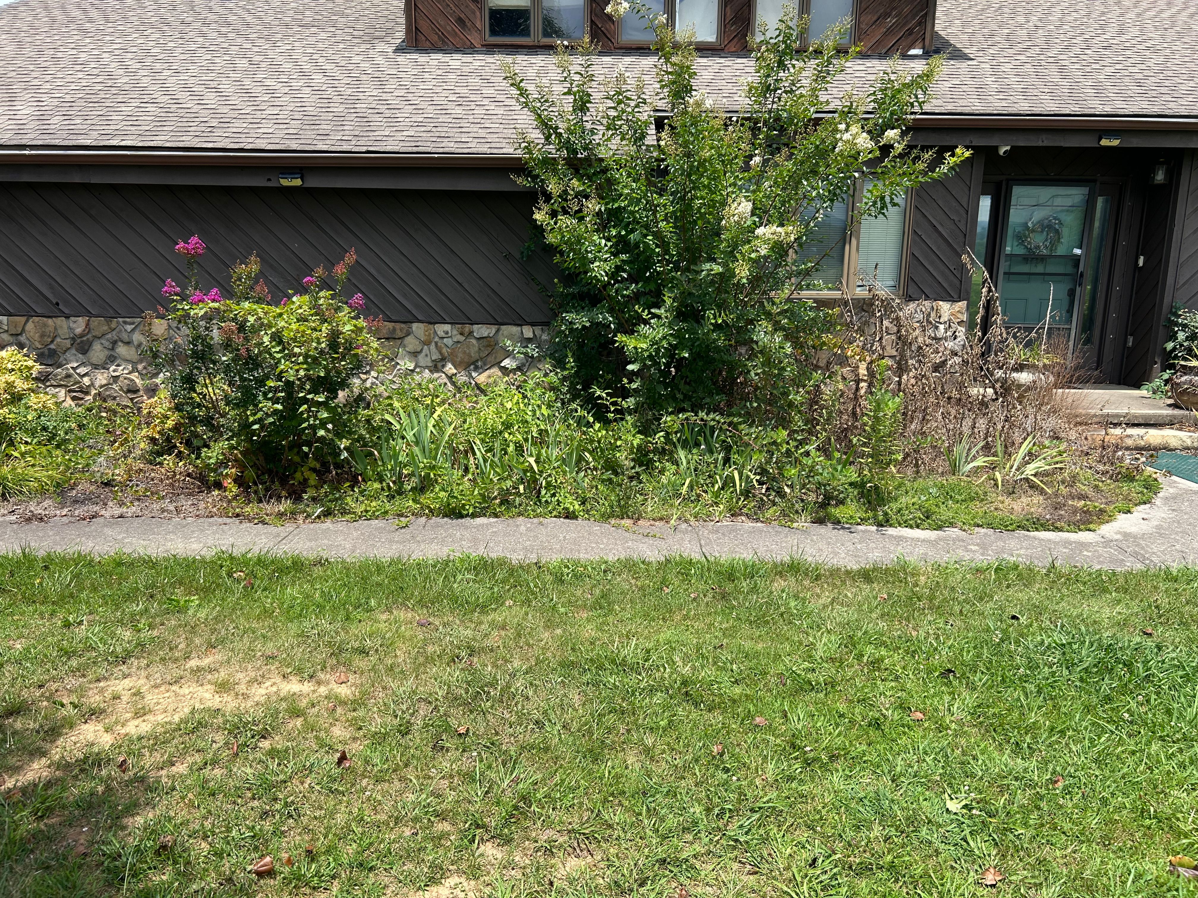 All Photos for Gatrell Landscape & Tree Removal in Bluff City, TN