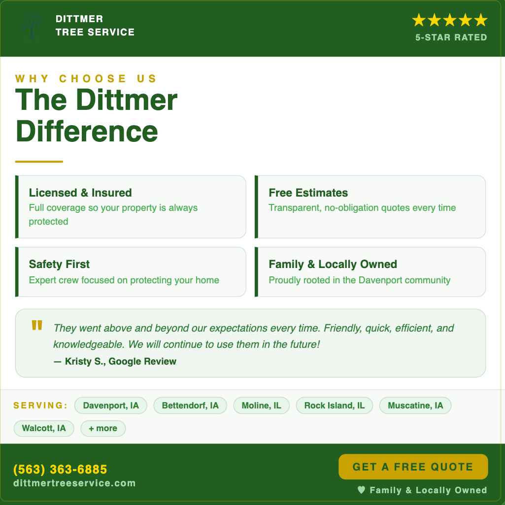 All Photos for Dittmer Tree Service in Davenport, IA