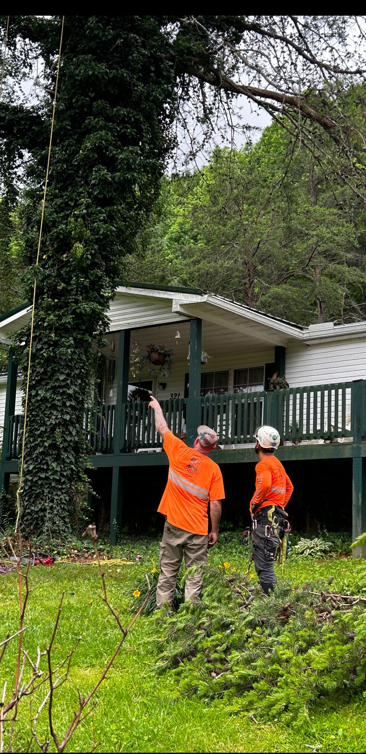  for Brocks Tree Service LLC in Rogersville, TN