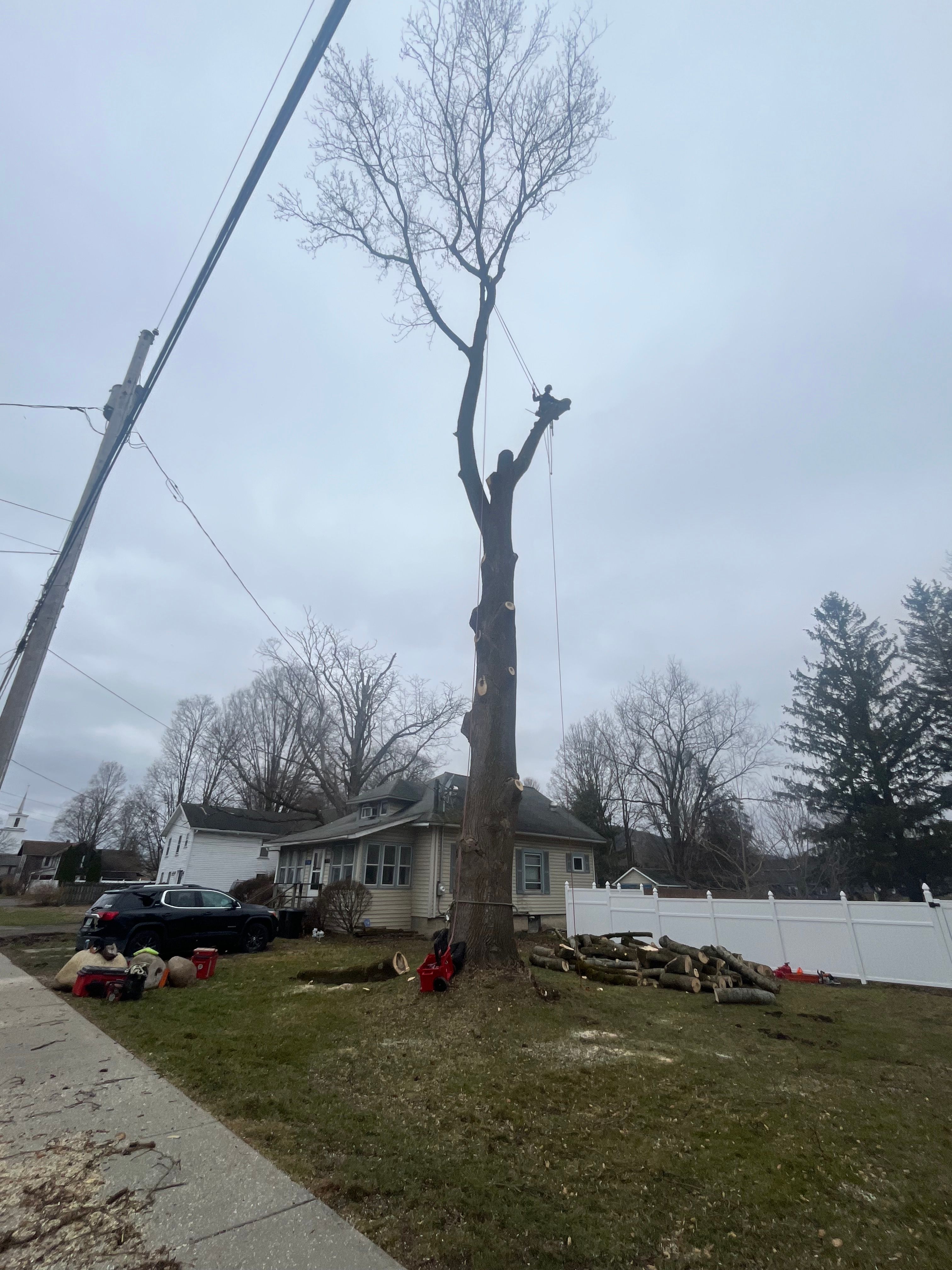 All Photos for Licensed to Cut Tree Service in Athens, PA