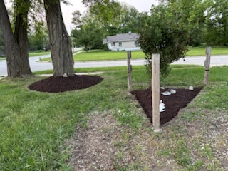  for Cena Landscaping in Rockford, IL