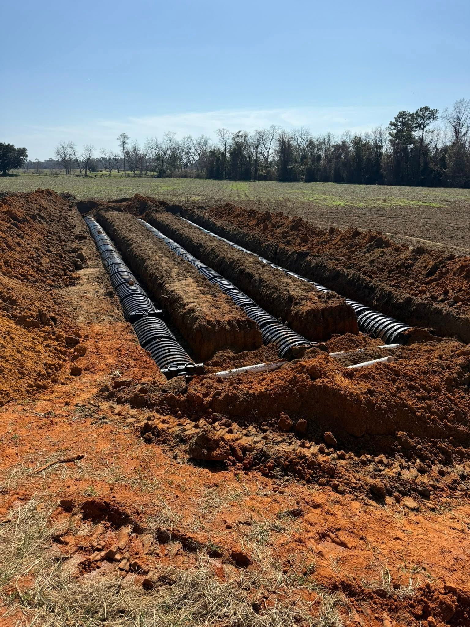  for Earthworks Septic LLC in Albany, Georgia