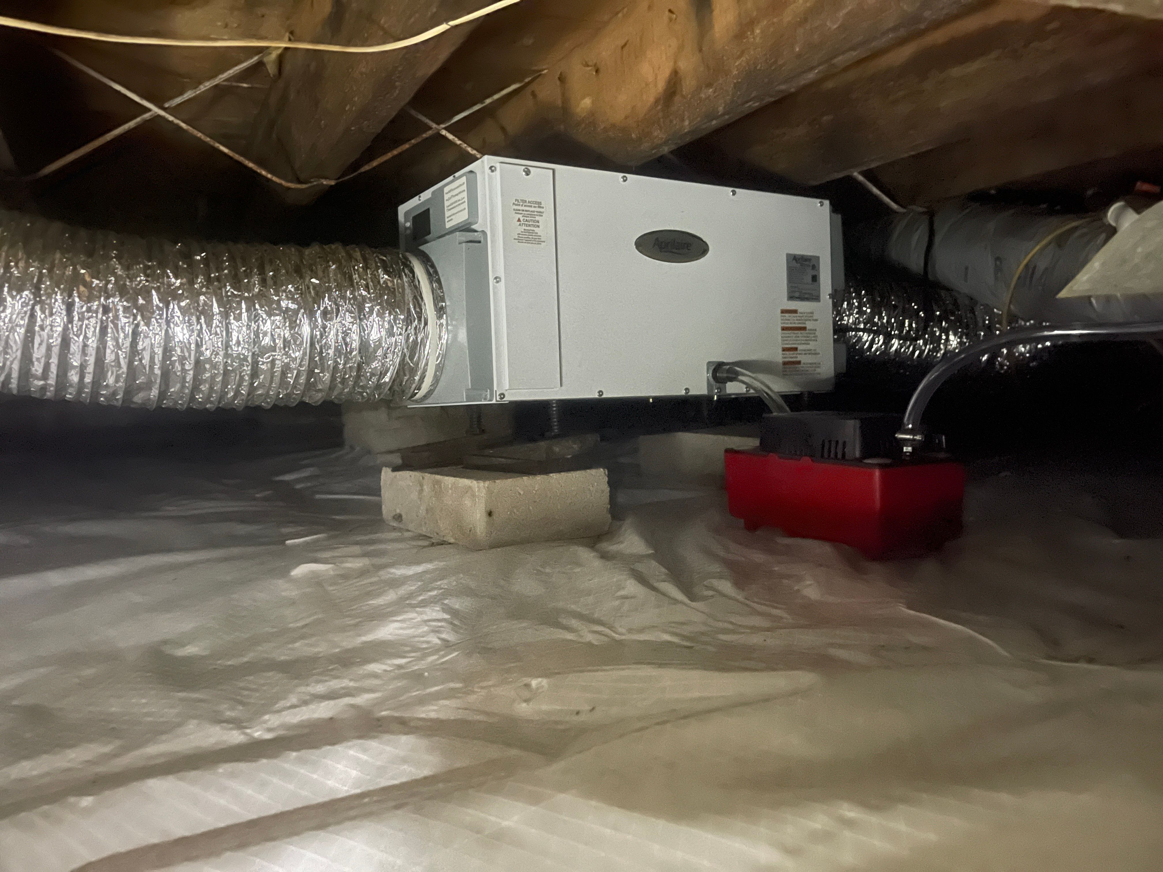  for All-In Pest Control & Home Solutions in Greene County, IN