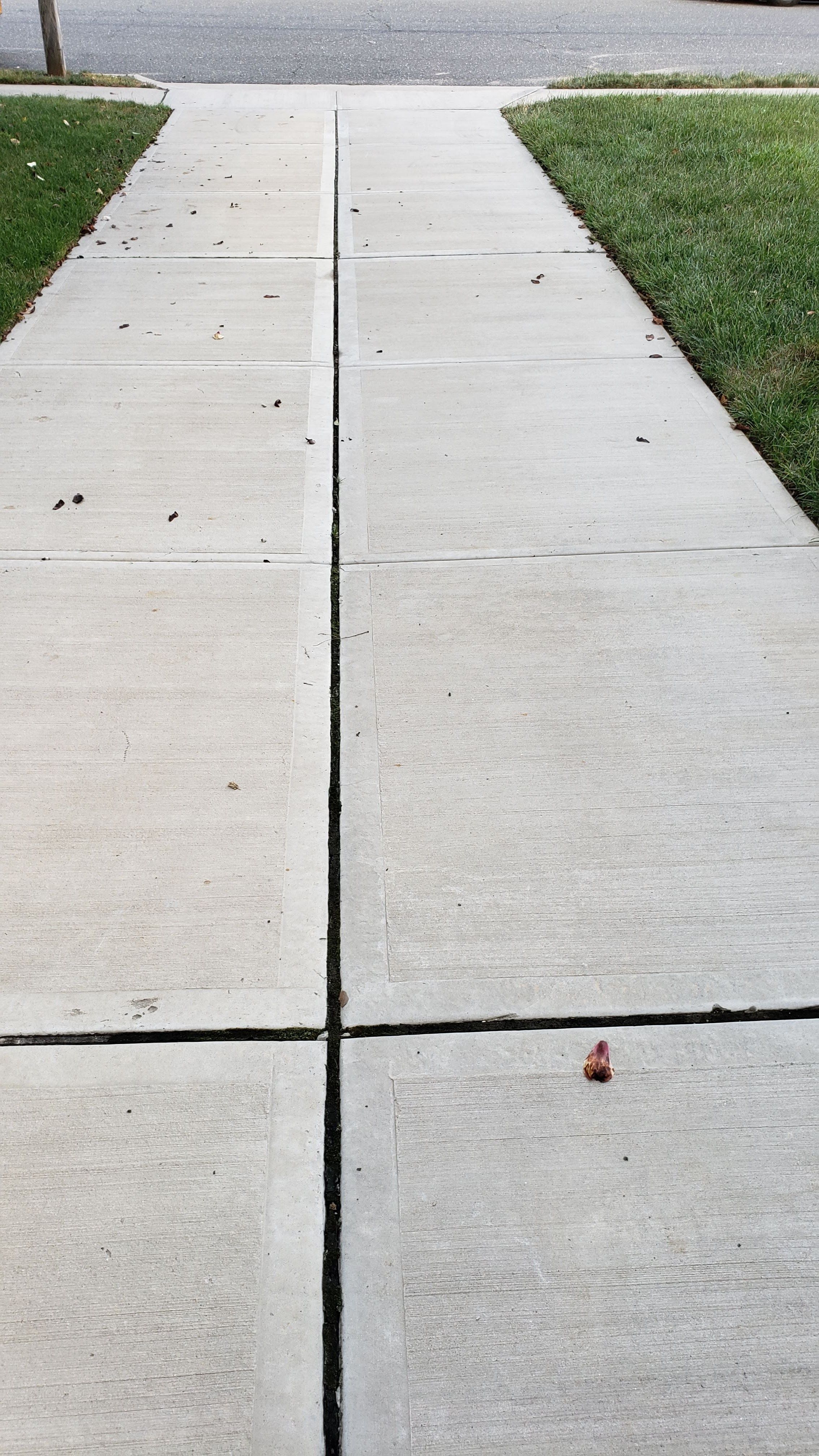  for Millenium Construction & Property Management in Tampa, FL