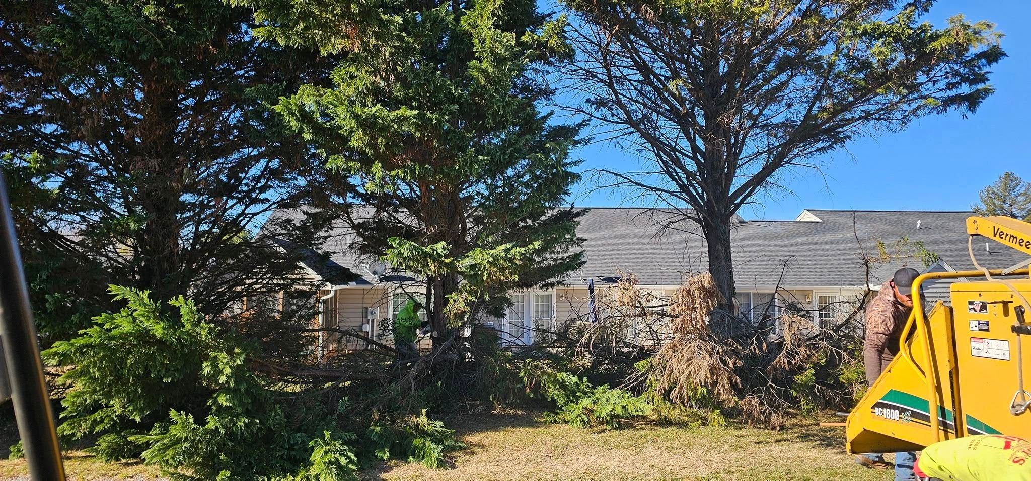  for Hamlett Tree Service LLC in Clover, VA