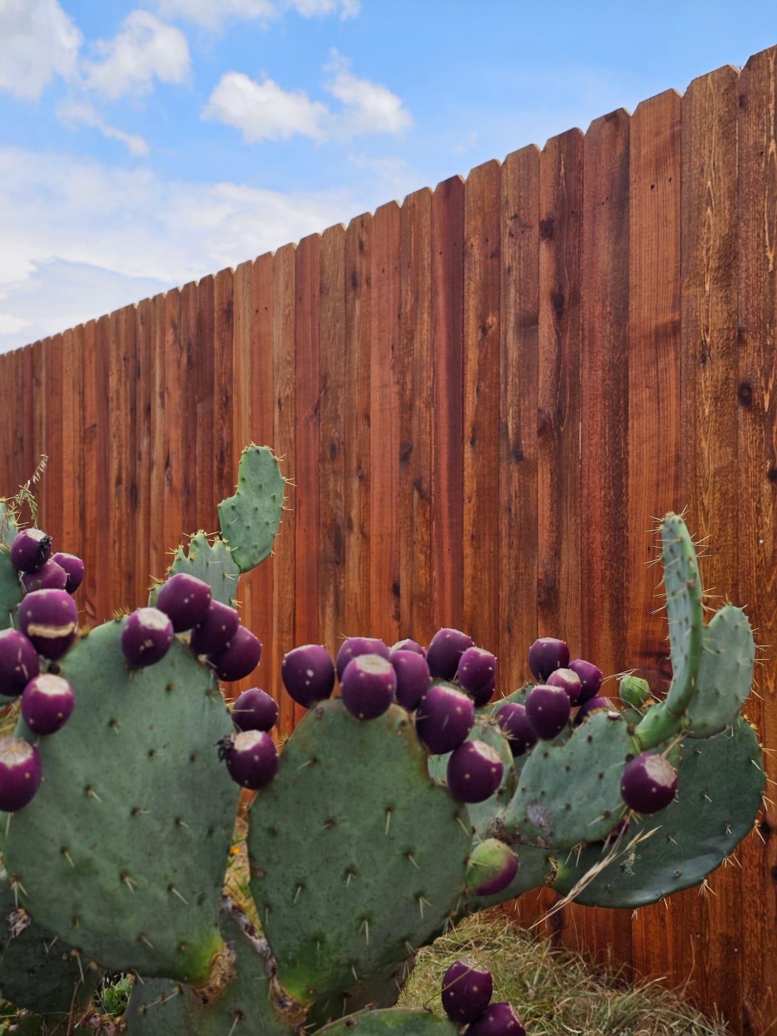 Fence Stain and seal for Ansley Staining and Exterior Works in New Braunfels, TX