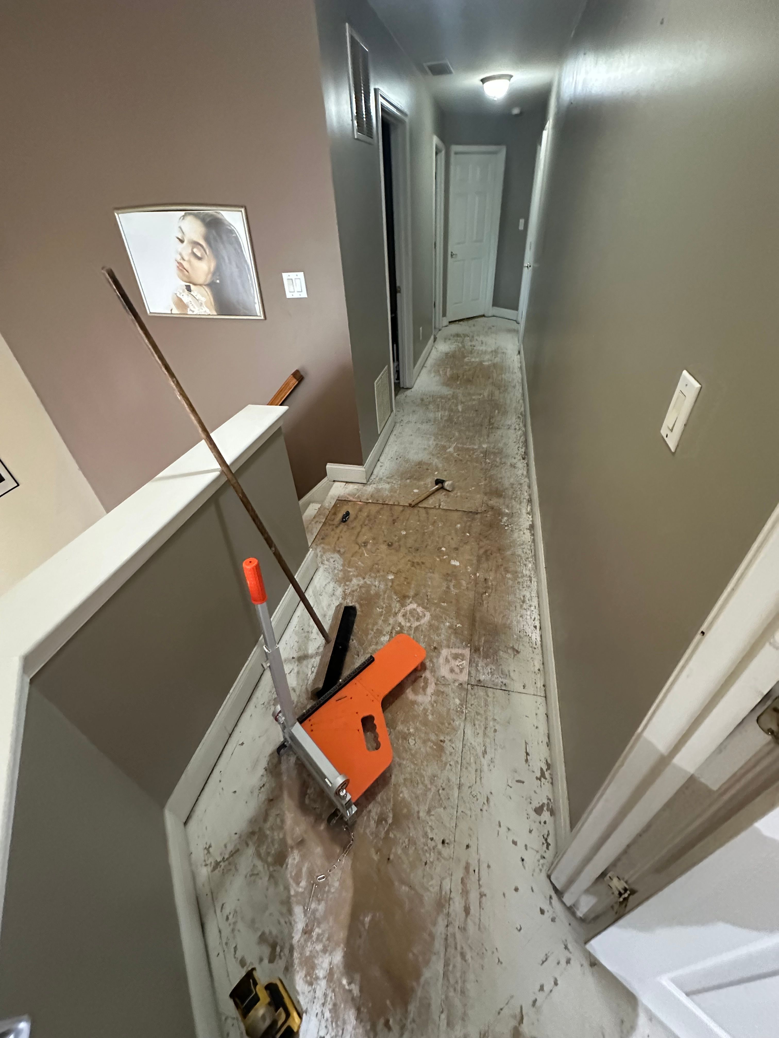  for RM Paramount General Contractor  in Bradley Beach, New Jersey