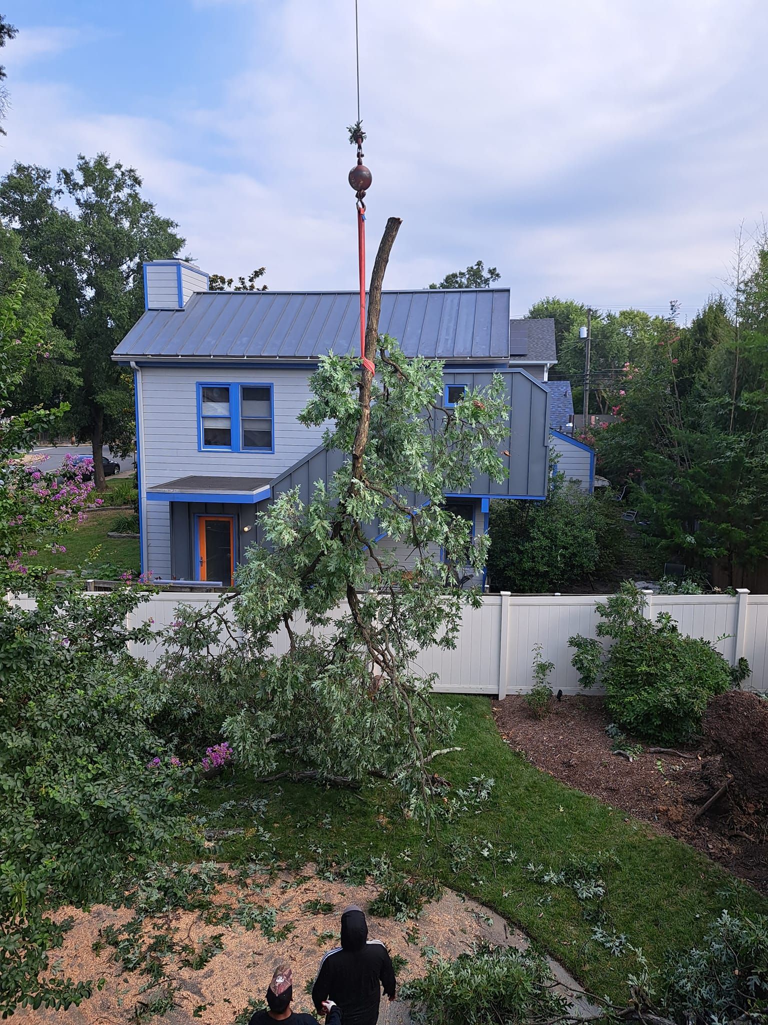 Tree Removal for Mario's Tree Service in Richmond, VA