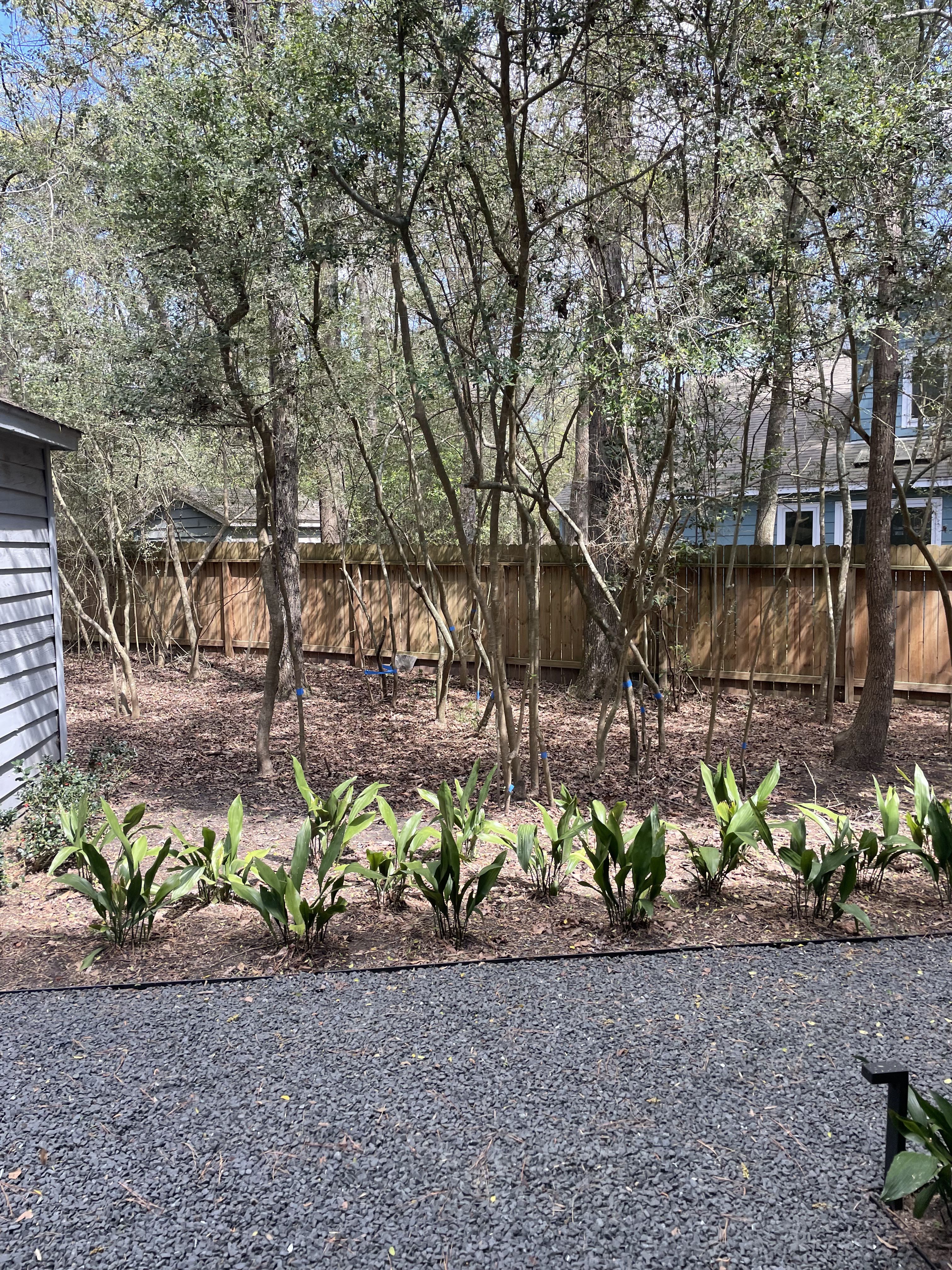 All Photos for Atlas Land Design in Creekside Park, TX