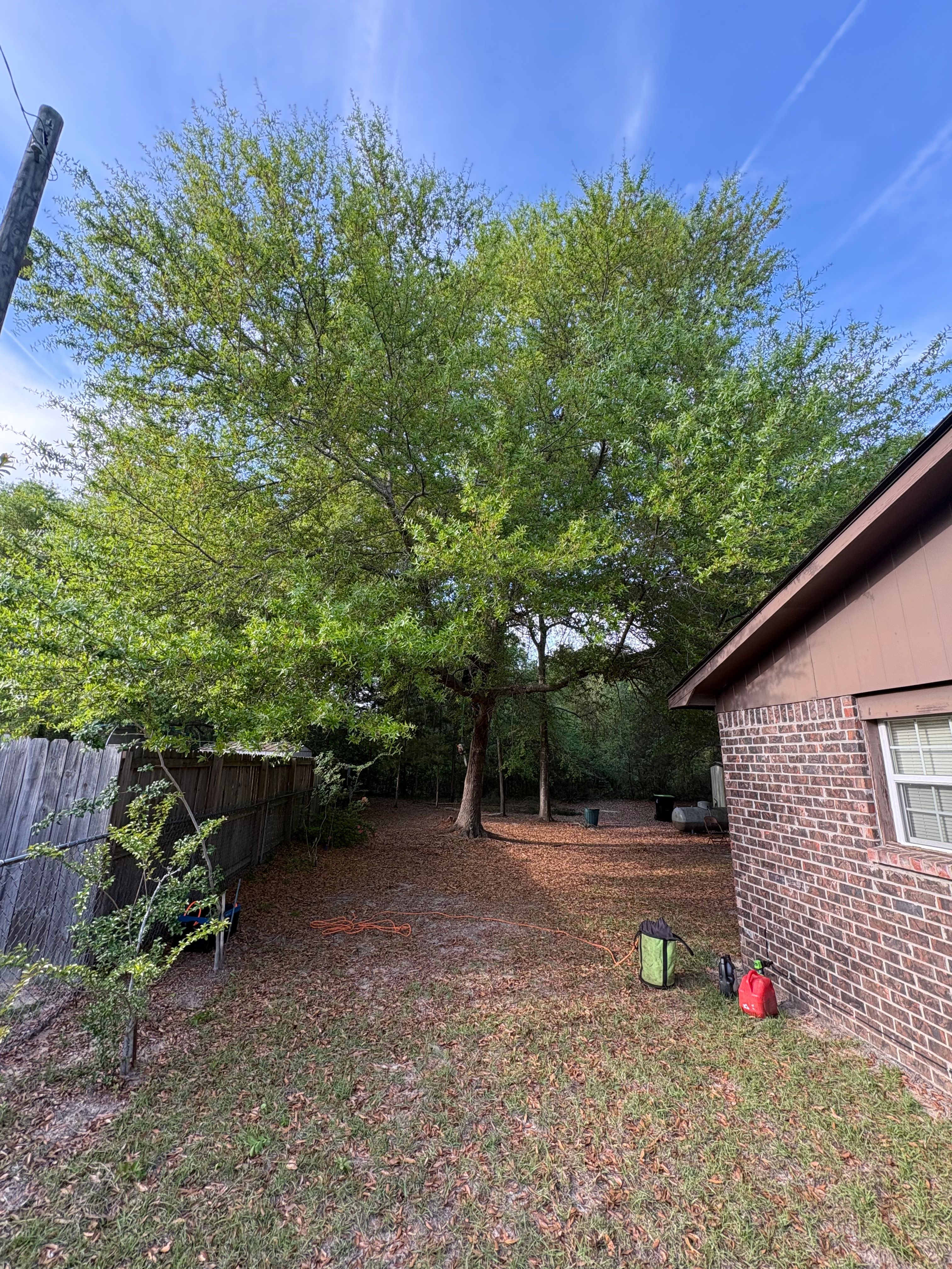  for T N L - Tree and Land Service in Reynolds, GA