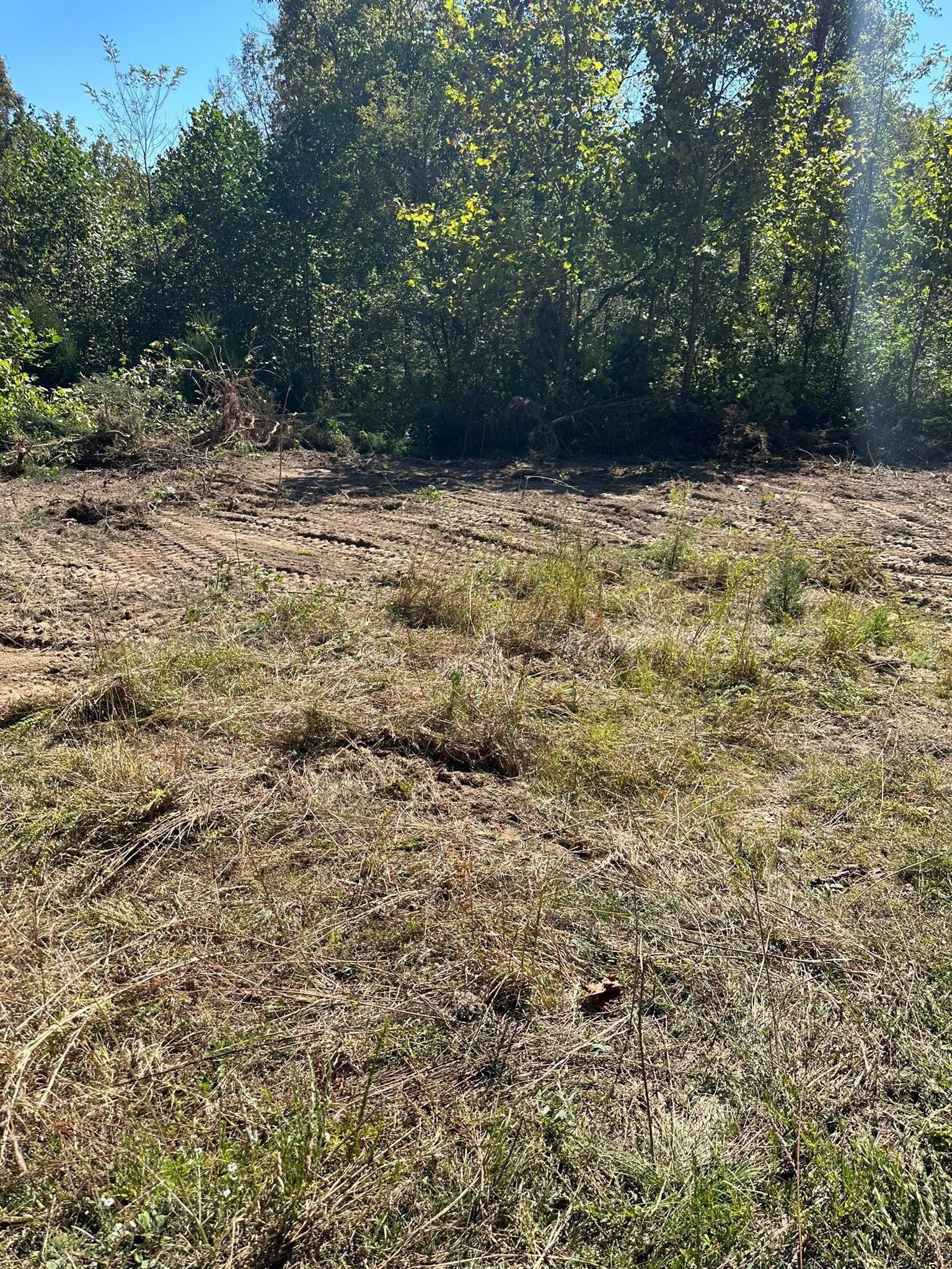  for Excavation Innovations in Rogersville, TN