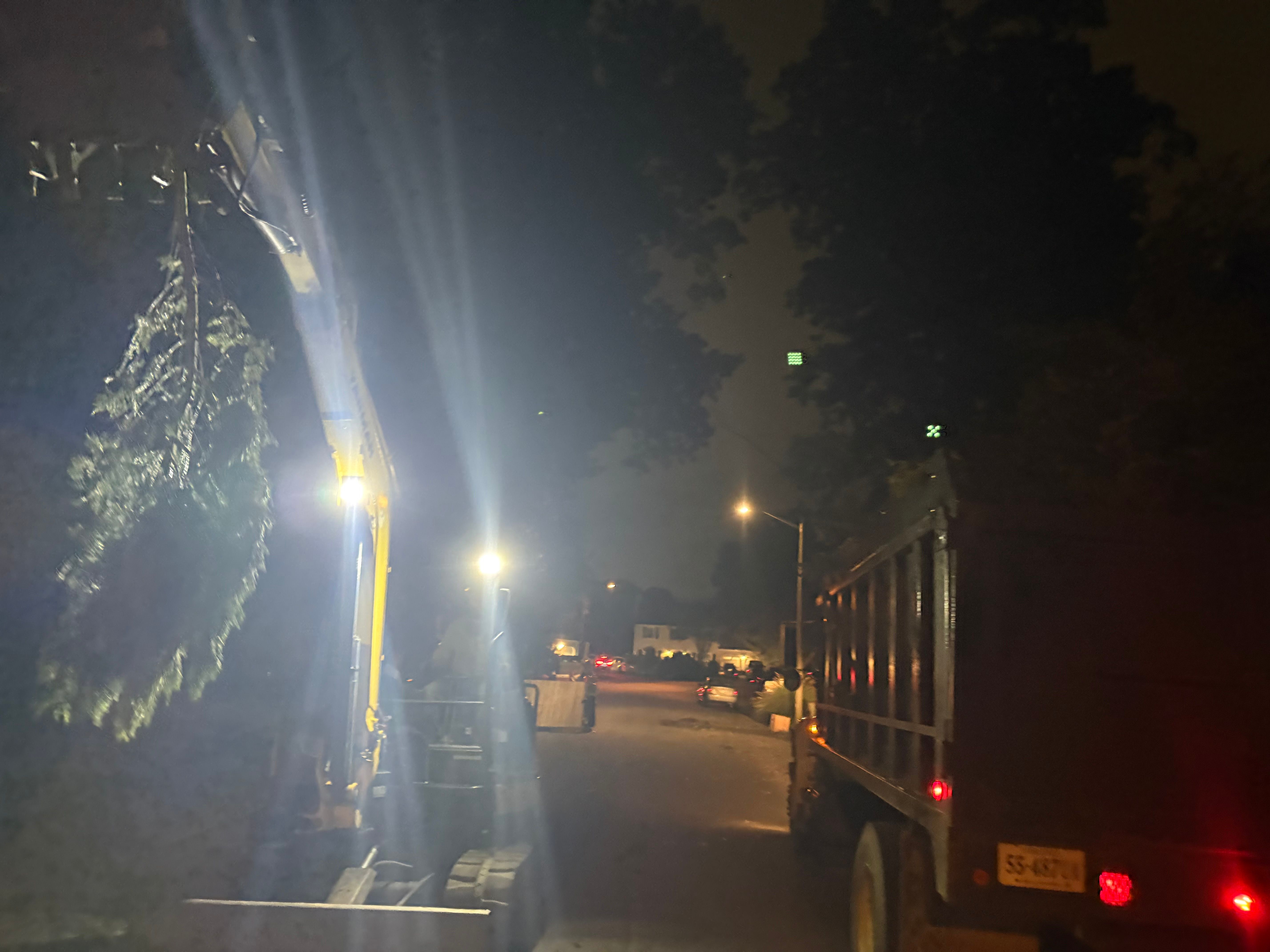  for Tidewater Tree Service in Chesapeake, VA