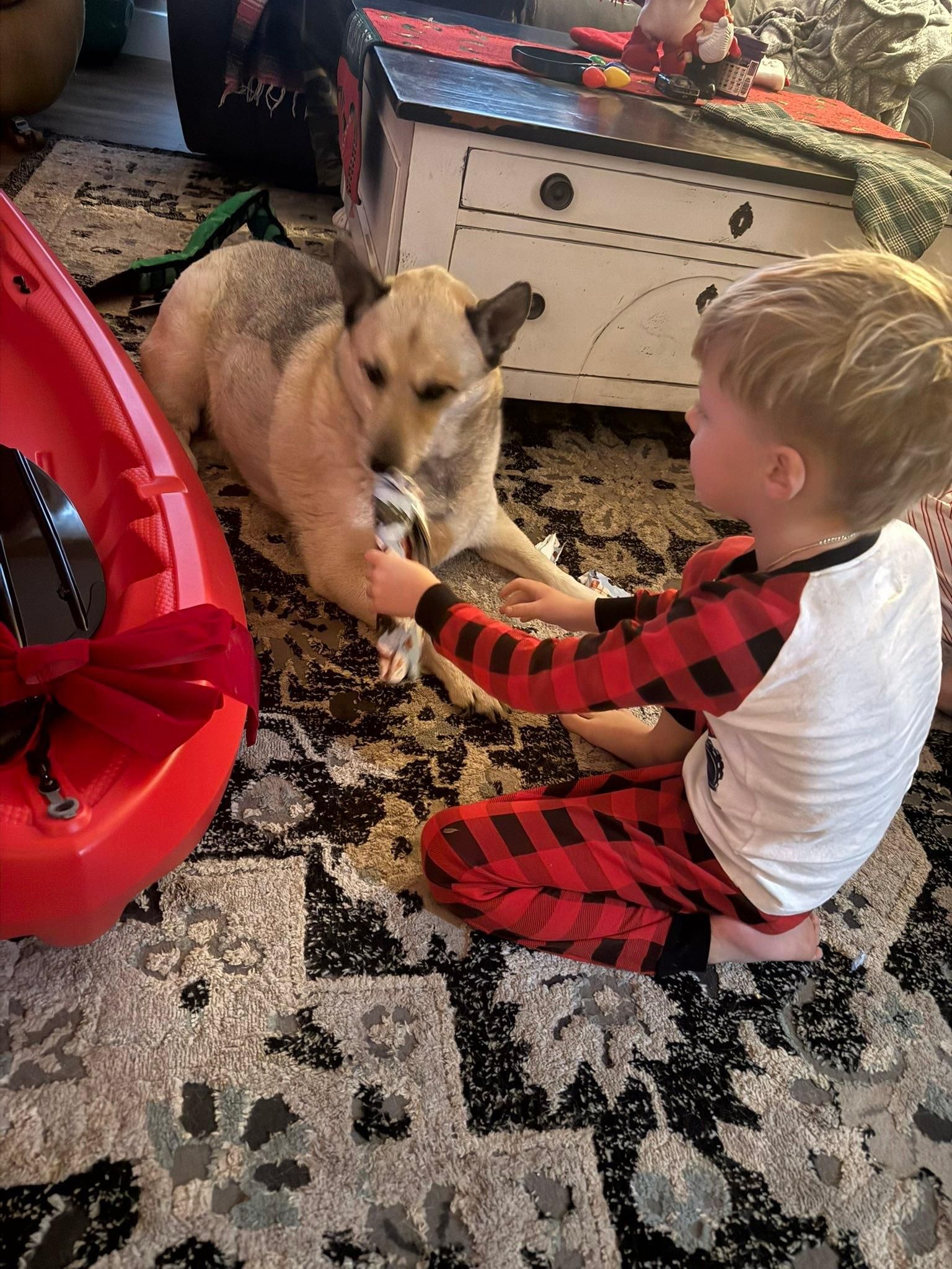  for Liberty Roofing Contractors in Pollock Pines, CA