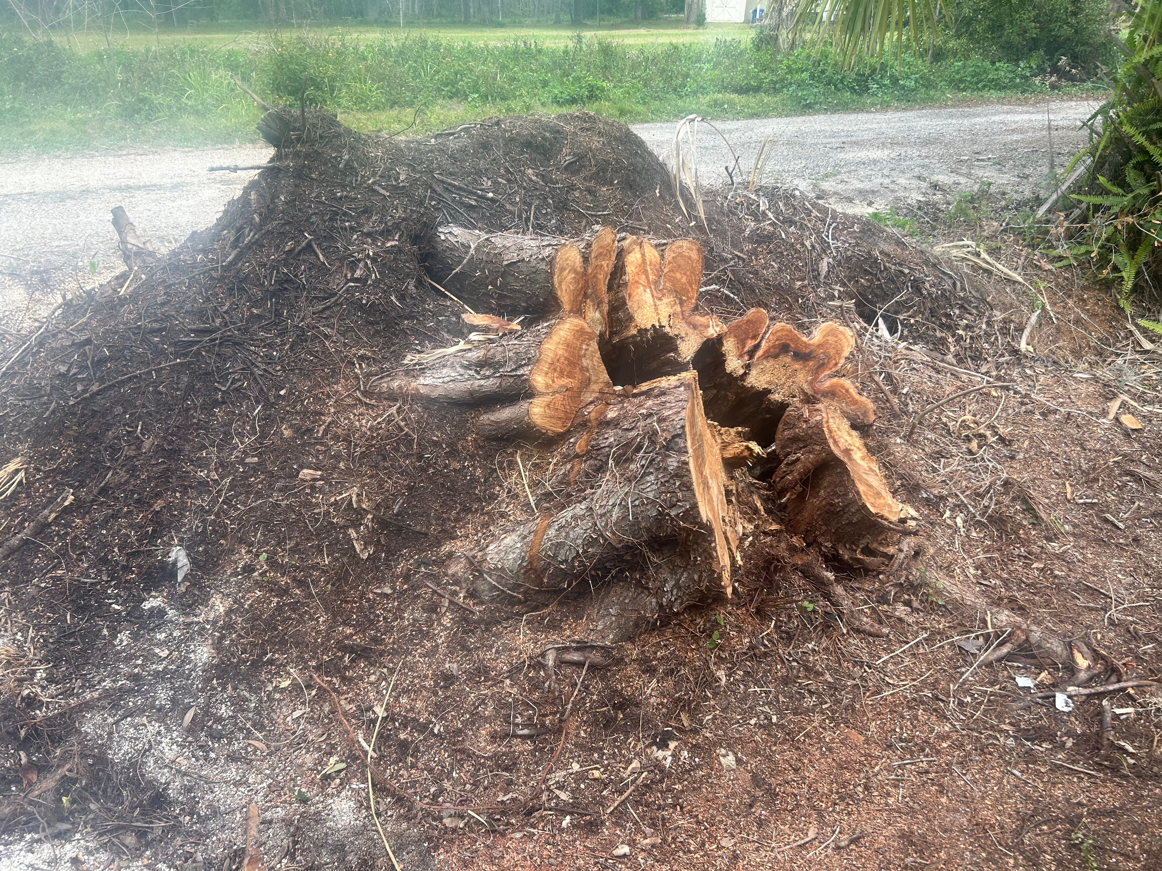  for Greene Acres Stump Grinding in Plant City, FL