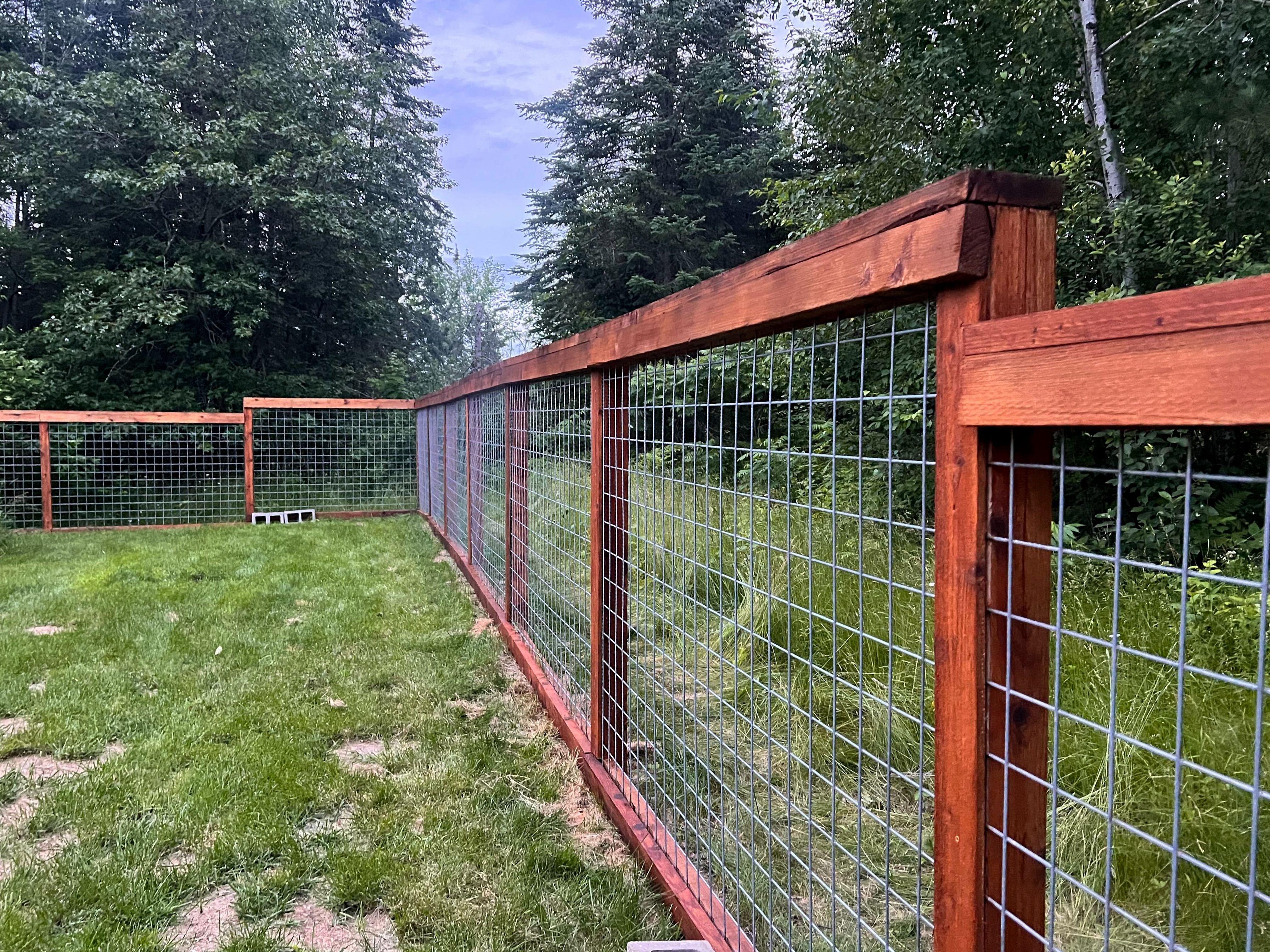 All Photos for Mr. Mole's Painting in Bemidji, MN