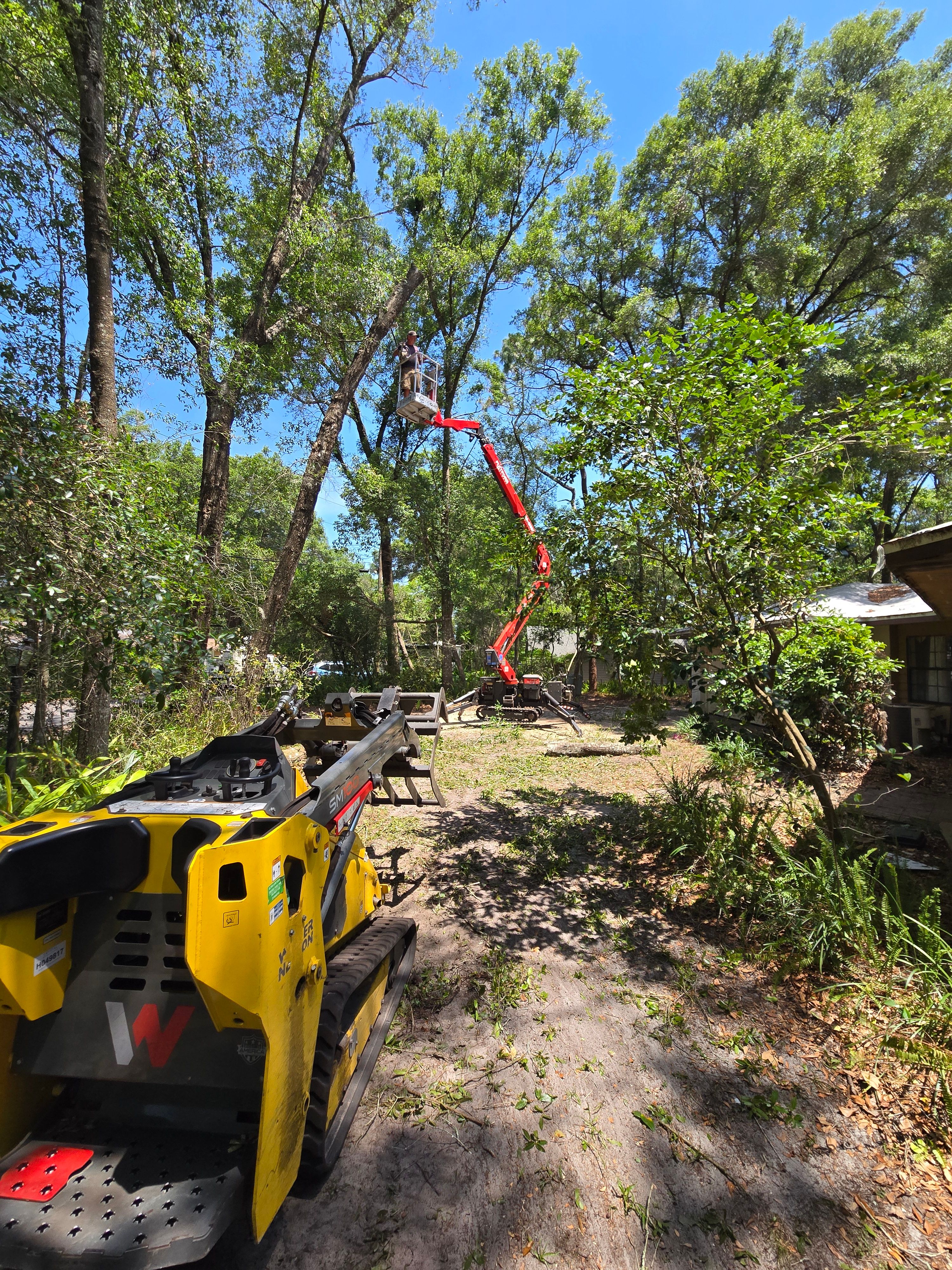 All Photos for Near Me Tree Service, Inc. in DeLand, FL