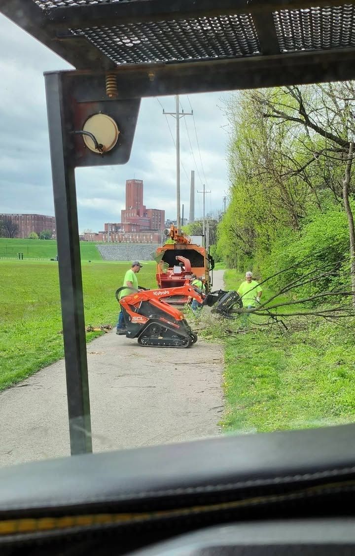  for Carpenter's Tree Service in Aurora, IN