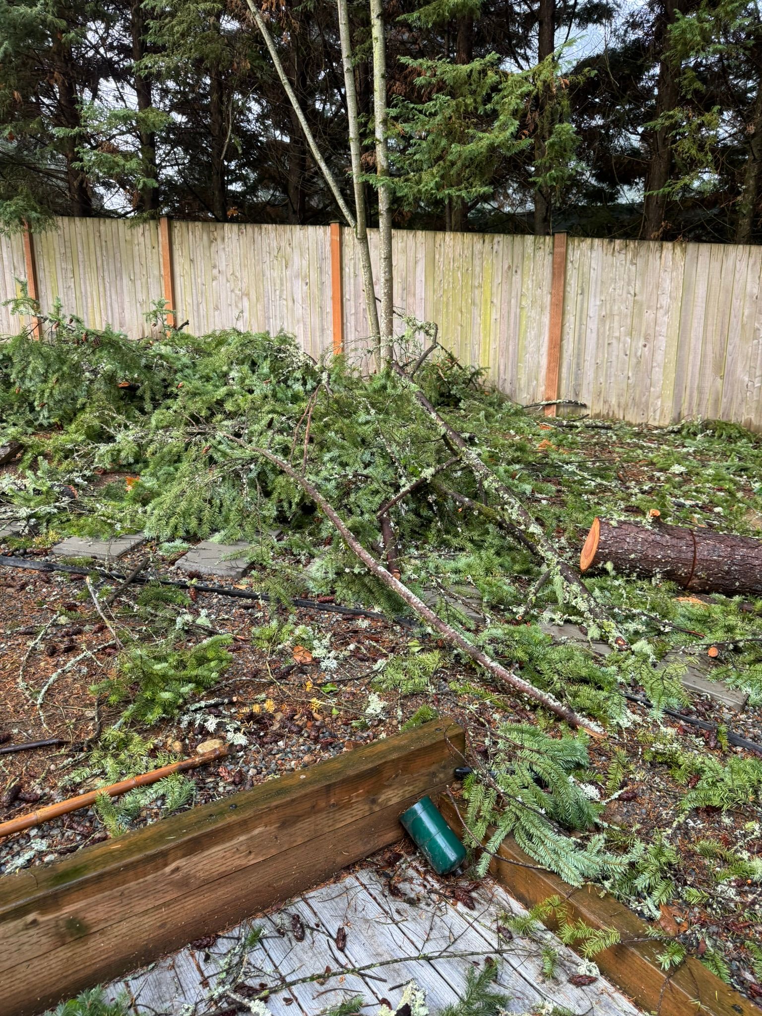  for Tony's Remodeling & Painting in Renton, WA