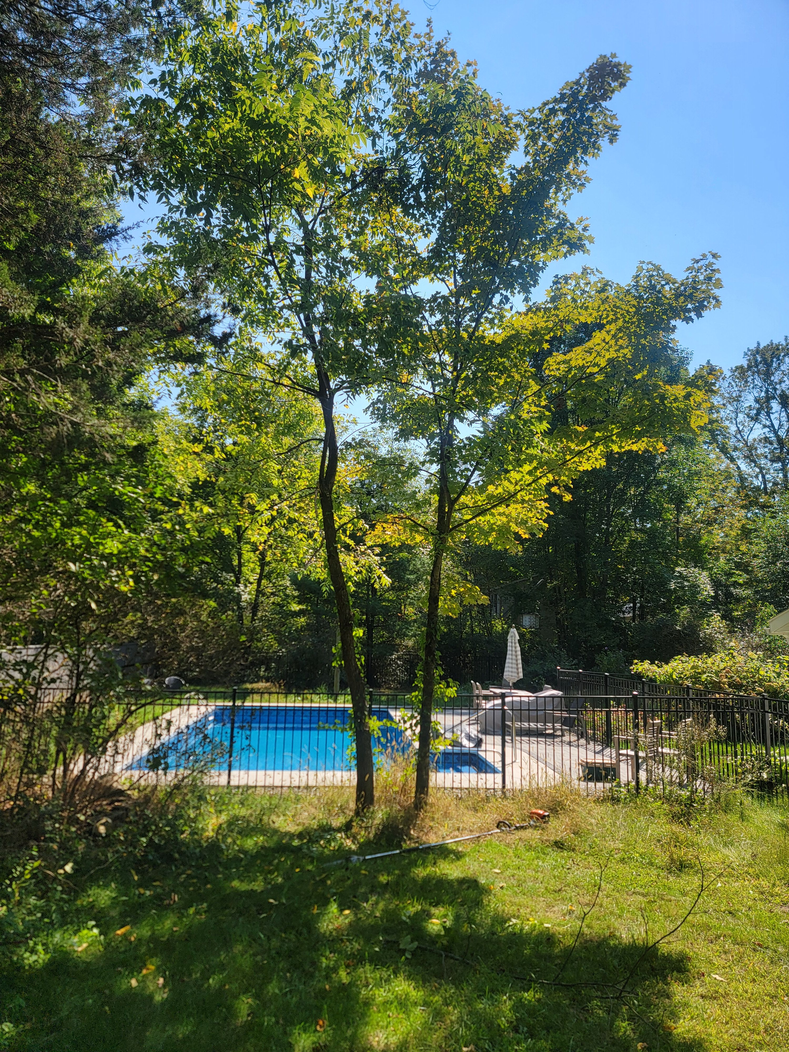  for Sweet Scapes in Ballston Spa, NY